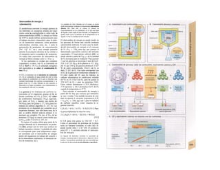Intercambio de energía y
calorimetría
El metabolismo convierte la energía química de
los nutrientes en sustancias propias del orga-
nismo como la creatinafosfato y, sobre todo, la
adenosinatrifosfato (ATP). La energía en forma
de ATP se puede utilizar posteriormente para
el trabajo mecánico (músculos), para la sínte-
sis de numerosas sustancias, como proteínas
estructurales, enzimas, urea, etc., y para la
generación de gradientes de concentración
(Na+
, Ca2+
K+
, etc.), cuya energía potencial
permite la excitación eléctrica de las células o
el transporte activo secundario de sustancias.
En todas estas reacciones de intercambio de
energía se libera siempre calor (v. 38 y s.).
Si los nutrientes se oxidan por completo
(«queman»), es decir, con O2 se convierten en
CO2 y H2O (v. 39, C), el contenido energético
útil equivaldrá a su valor de combustión fí-
sica (Vc1J.
El VCf13 se determina con el calorímetro de combustión
(A). En un contenedor de agua aislado del calor se sitúa
una cámara de combustión, en Ia que se introduce una
cantidad determinada del nutriente correspondiente y se
quema (con O2). El calor liberado en esta reacción se
determina en el agua circundante, cuyo calentamiento es
una medida del valor del Vcfis deseado.
Las grasas y los hidratos de carbono se
convierten en el organismo gracias al O2 de
forma continua en CO2 y H2O. Su valor
de combustión fisiológica (VcflsJ equivale,
por tanto, al Vcfls y supone una media de
38,9 kj/g para las grasas y 17,2 kJ/g para los
hidratos de carbono digeribles (v. 227, A). Las
proteínas no se degradan por completo en el
organismo humano, sino sólo hasta urea, de la
que se podría obtener todavía energía si se
quemara por completo. Por eso, el Vcfis de las
proteínas (23 kj/g) es mayor como media que
su Vc,isio (sólo 17,2 tí/51 (v. 227, A).
En reposo el cuerpo utiliza gran parte de la
energía obtenida de la alimentación en produ-
cir calor, porque casi no tiene que realizar un
trabajo mecánico externo. La pérdida de calor
se corresponde (para una temperatura corpo-
ral constante) con el intercambio de energía
dentro del organismo (el trabajo del corazón y
de la musculatura respiratoria, el transporte ac-
tivo de sustancias, etc.).
La cantidad de calor liberada por el cuerpo se puede
medir directamente, mediante Ia denominada calorimetría
directa (B). Para ello se coloca al animal de
experimentación en un contenedor, en el que una capa
de líquido o hielo capta el calor liberado y su magnitud se
puede medir como el aumento de Ia temperatura en el
liquido o como Ia cantidad de hielo disuelto.
El intercambio de energía se puede medir en
las personas de forma más sencilla mediante
calorimetría indirecta. En este caso la medi-
da del intercambio de energía es el consumo
de O2 (V02; v. 120), pero hay que conocer el
denominado equivalente calórico del nutriente
«quemado». El equivalente calórico (EC) se
puede calcular a partir del Vq1510 y de la cantidad
de O2 necesaria para la oxidación. Para quemar
1 mol de glucosa se necesitan 6 mol de O2 (6 ·
22,4 1) (C). El Vq1510 de la glucosa es 15,7 kj/g,
por lo que 180 g de glucosa producen 2.827
W de calor consumiendo 134,4 1 de O2, es
decir, 21 kJ/1 de O2. Este valor corresponde con
el EC de Ia glucosa en condiciones estándar (C).
El valor medio del EC para los hidratos de
carbono alimentarios en condiciones estándar
(O 0
C) es 21,15 kJ/1 de O2, para las grasas es
19,6 kJ/1 de O2 y para las proteínas 19,65.
Estos valores disminuyen a 18,8 (hidratos),
17,6 (grasas) y 16,8 (proteínas) kJ/1 de O2
cuando la temperatura es 37 0
C.
Para calcular el intercambio de energía a
partir del EC hay que conocer qué nutrientes
se van a oxidar. Una medida inexacta de este
dato la aporta el cociente respiratorio (CR
= VCO2/V0 ; v. 120), que vale 1 para los hidratos
de carbono sencillos, como muestra la si-
guiente reacción:
C6H12O6 + 6 O2 ^ 6 CO2 + 6 H2O [10.1] Para
la grasa triptalmina la reacción sería:
2 C51H98O6 + 145 O2 ^ 102 CO2 + 98 H2O
[10.2]
El CR para esta grasa es 102/145 = 0,7.
Como el porcentaje de proteínas de la dieta
suele ser bastante constante, el valor del CR
puede oscilar entre 1 y 0,7 (D). El producto
entre EC y V0 permite calcular el intercam-
bio de energía.
La ingesta de nutrientes aumenta Ia necesidad de
energía, necesaria para Ia absorción y deposito de los
mismos. Las proteínas aumentan más esta necesidad que
Ia glucosa (Ia denominada acción dinámica específica).
 