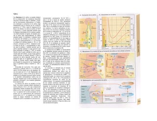 Saliva
Las funciones de la saliva se pueden deducir
de su composición: las sustancias mucoides
(mucinas) favorecen tragar el alimento y facili-
tan los movimientos masticatorios y el habla.
Los nutrientes se disuelven en la saliva, algo
fundamental para la eficacia de los estímulos
gustativos (v. 338) y para la limpieza de la
boca y los dientes. La saliva es pobre en NaCl
e hipotónica y resulta adecuada también para
la limpieza intermitente de los sensores gustati-
vos (NaCl) durante la ingesta. El lactante nece-
sita la saliva para impermeabilizar los labios
mientras mama. La α-amilasa (= ptialina) inicia
la digestión del almidón ya en la boca, mien-
tras que la inmunoglobulina A y la lisozima
se ocupan de la defensa inmune (v. 94 y s.). Su
elevado contenido en HCO¡~ tampona la sali-
va hasta un pH de 7, correspondiente al ópti-
mo para la amilasa, y también permite que la
saliva ingerida tampone el jugo gástrico que
haya alcanzado el esófago (v. 238). La misma
función tiene la gran cantidad de saliva que se
secreta antes del vómito, ya que el jugo gástrico
podría lesionar el esmalte dentario. Como la
secreción de saliva depende mucho del con-
tenido de agua en el organismo, la boca y la
faringe se resecan mucho cuando falta agua,
provocando la sensación de sed, fundamental
para el equilibrio hídrico corporal (v. 168 y
184).
Velocidad de secreción. Con cada esti-
mulación se liberan entre 0,1 y 4 ml/min de
saliva (10-250 µΐ/min por g de glándula, B),
con un total de 0,5-1,5 l/d. Suponiendo una
secreción de 0,5 1/min, el 95% de la saliva se
produce en la glándula parótida (saliva serosa)
y la glándula submandibular (saliva rica en
mucina), mientras que el resto se produce en la
glándula sublingual y las restantes glándulas
de la mucosa oral.
La síntesis de saliva se produce en dos
fases: los acinos (extremo distal) sintetizan la
sa/ίυα primaria (A.C) con una composición
electrolítica similar al plasma (B) y que se mo-
difica en las vías secretoras (saliva secunda-
ria). La síntesis de la saliva primaria en los
acinos (Cl) es consecuencia del transporte
transcelular de Cl·: es captado por la célula
desde la sangre mediante un sistema de
transporte activo secundario a través de un
transportador cotransporte Na+
-K+
-2Ch y
pasa a la luz a través de canales aniónicos
(acompañado de HCO3"). Este mecanismo
produce un potencial transepitelial negativo,
que atrae el Na+
hacia la luz de forma parace-
lular. que se acompaña de agua por mecanis-
mo osmótico. La saliva secundaria se pro-
duce en las vías excretoras. Durante el tránsito
por la misma se reabsorben Na+
y CL de la luz
y se secreta K+
y HCO3" (dependiente de la
anhidrasa carbónica) (A). Como predomina la
reabsorción de NaCl frente a la secreción de
KHCO3 y la permeabilidad de la vía al agua es
escasa, la saliva se vuelve hipotónica (hasta
valores muy por debajo de 100 mOsm/kg
H2O; B). Si se produjera un aumento impor-
tante de la velocidad de flujo, los procesos se
invertirían y la composición de la saliva secun-
daria se parecería a la primaria (B).
La producción de saliva se desencadena
en las glándulas salivales mayores de forma re-
fleja (D). Los estímulos son gustativos y olfati-
vos, el tacto de la mucosa oral, la masticación y
las náuseas. También intervienen algunos re-
flejos condicionados (hay que aprenderlos
para que una determinada situación, por ejem-
plo el ruido de los cubiertos antes de comer,
sea considerado un estímulo posteriormente).
El sueño y la deshidratación inhiben la secre-
ción de saliva.
La secreción se estimula por el sistema
simpático y parasimpático (C2): » La
noradrenalina produce una saliva rica en
mucina muy viscosa a través de los receptores
β2 adrenérgicos y la secreción de cAMP. » La
acetilcolina actúa: a) a través de los receptores
colinérgicos M1 e IP3 (v. 82 y 274) aumenta la
concentración citosólica de calcio en las
células acinares. Así aumenta Ia permeabilidad
de los canales aniónicos luminales, lo que
permite producir una saliva más rica en agua y
aumenta la exocitosis de proteínas de la
saliva; b) mediante los receptores colinérgicos
M3, la ACh determina la contracción de las
células mioepiteliales del acino, lo que facilita
la expresión de su contenido; c) ACh estimula la
síntesis de calicreína, que se libera a partir del
cininógeno plasmático bradicinina. Esta
sustancia dilata, junto con VIP (v. 234). los
vasos de las glándulas salivales, algo funda-
mental porque aumenta el flujo de saliva con
una circulación de reposo.
 