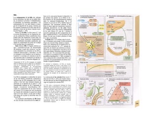 Bilis
Los componentes de la bilis son, además
de los electrólitos, las sales de los ácidos bilia-
res, el colesterol, la lecitina (= fosfatidilcolina),
la bilirrubina, las hormonas esteroideas y los
medicamentos (A). Las sales biliares se encar-
gan de la digestión de las grasas, mientras que
los restantes elementos de la bilis salen del or-
ganismo a través de las heces (/unción excre-
tora del hígado; v. 250).
Síntesis de la bilis. La bilis (unos 0,7 1/d)
se secreta directamente por los hepatocitos ha-
cia los conducti/los biliares (canalículos) loca-
lizados entre dos hepatocitos vecinos (A). Los
hepatocitos tienen numerosos transportadores
en sus membranas sinusoidal y canalicular, que
captan los componentes de la bilis de la sangre
o los secretan hacia los canalículos.
Sales biliares (SB). El hígado sintetiza co-
íato y quenodesoxico/ato, las denominadas
SB primarias, a partir del colesterol. Las bac-
terias intestinales las convierten en las SB se-
cundarias (desoxicolato y litocolato). Las SB
se conjugan a nivel hepático con Ia taurina o
la glicina y se secretan a la vesícula en esta for-
ma (necesaria para la formación de micelas a
nivel de la vesícula y el intestino delgado) (A).
Transportador de SB. Las SB conjugadas son captadas
desde los hepatocitos hacia Ia sangre de los sinusoides a
través de un transportador simporte de Na* (NTCP =
polipéptido «¡transportador de Na*-taurocolato)
secundario activo y después hacia los canalículos en
contra de gradiente con un sistema primario activo a
través de un transportador dependiente de ATP (hBSEP =
bomba exportadora de sales biliares humana = cBAT =
transportador de ácidos biliares canalicular).
Las SB no conjugadas se reabsorben de nuevo
en las vías biliares (circulación colehepática),
mientras que las SB conjugadas sólo se reab-
sorben a nivel del íleon terminal después de
participar en la digestión de la grasa (v. 252)
(transportador simporte de Na+
), regresando al
hígado: circulación enterohepática (B).
Todos los componentes de las sales biliares
del cuerpo (2-4 g) pasan por esta circulación
(en función del contenido en grasa de la dieta)
unas 6-10 veces diarias, ya que para la absor-
ción diaria de la grasa se necesitan unos 20-
30 g de SB.
La circulación enterohepática de SB mantie-
ne una elevada concentración de sales bi-
liares en la vena porta durante la digestión, lo
que produce dos efectos: a) se inhibe Ia sin- ¡
tesis hepática de SB (retroalimentación negativa
sobre la colesterol-7a-hidroxilasa; B); y b)
aumenta Ia secreción de SB (y lípidos) hacia los
canalículos. Este incremento aumenta el flujo
biliar al atraer agua por mecanismo osmótico:
coleresis dependiente de las sales biliares
(C). También existe una coleresis independiente
de las sales biliares (C), que de- ι termina la
secreción canalicular de otros componentes de la
bilis y también del HCO3" y de H2O hacia las irás
biliares. En este caso el efecto colerético lo tiene
el n. vago y la secretina.
Vesícula biliar. Si el esfínter entre la vía bi-
liar y el duodeno está cerrado, la bilis producida
llega a la vesícula biliar, donde se espesa
hasta 1/10 y almacena (D). El epitelio de la ve-
sícula biliar reabsorbe Na+
y C!~ además de
agua (Dl), de manera que aumenta la concen-
tración de los componentes específicos de Ia
bilis (sales biliares, bilirrubina, colesterol, fosfa-
tidilcolina, etc.). Si se necesitara bilis para dige- ,
rir la grasa (o se produjera el paso de una onda
peristáltica interdigestiva; v. 240), se produci- j
ría la contracción de la vesícula biliar (D2) y su j
contenido iría incorporándose de forma esca-
lonada a la papilla duodenal.
El colesterol se transporta a Ia bilis en micelas,
constituidas también por lecitina y sates biliares. Si se
modificara Ia relación entre estos tres componentes (E) a
favor del colesterol, aumentaría Ia concentración de Ia
bilis con formación de cristales de colesterol, origen de
los cálculos biliares. Los puntos rojo y verde en E
representan dos ejemplos de las proporciones en las
micelas.
La contracción de la vesícula biliar se pro- !
duce por la CCK (v. 234) y por el plexo neuro-
nal inervado por las fibras preganglionares del
vago en la pared de la misma (D2).
La CCK actúa a concentración fisiológica de forma
indirecta sobre Ia musculatura de Ia vesícula, ya que
aumenta Ia liberación de acetilcolina sobre los receptores
de CCKA neuronales. Parece que CGRP (v. 234) y Ia
sustancia P (v. 86), que se liberan en las fibras sensitivas,
actúan de un modo parecido, mientras que s sistema
simpático inhibe Ia contracción actuando sobre los
receptores adrenérgicos a2 de las fibras colinérgicas.
Además de los ácidos grasos y los fragmentos proteicos
(v. 234), Ia yema de huevo y el MgSO4 son estímulos
especialmente eficaces para Ia liberación de CCK
(denominados colagogos).
 