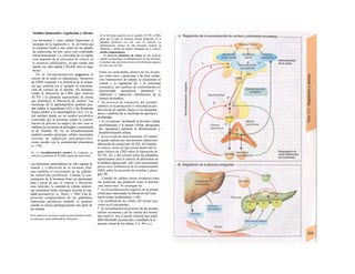 Señales humorales: regulación y efectos
Las hormonas y otras señales humorales se
encargan de la regulación (v. 4), de forma que
la respuesta frente a una señal (en las glándu-
las endocrinas en este caso) esté controlada:
retroa/imeníación. La velocidad de la regula-
ción depende de la velocidad de síntesis de
la sustancia señalizadora, ya que cuanto más
rápida sea, más rápida y flexible será su regu-
lación.
En la retroalimentación negativa el
emisor de la señal (el hipotálamo, liberación
de CRH) responde a la presencia de la sustan-
cia que controla (en el ejemplo la concentra-
ción de cortisol en el plasma, Al) disminu-
yendo la liberación de CRH (que controla
ACTH y la glándula suprarrenal), de forma
que disminuya la liberación de cortisol. Las
hormonas de la adenohipófisis también pue-
den inhibir el hipotálamo (A2) o las hormonas
finales inhibir a la adenohipófisis (A3). La se-
ñal también puede ser un cambio metabólica
controlado por la hormona (como la concen-
tración de glucosa en sangre) (en este caso se
inhibiría la secreción de glucagón y aumentaría
la de insulina; B). En la retroalimentación
también pueden participar señales neuronales
(circuito de regulación neuroendocrino),
como sucede con la osmolalidad plasmática
(v. 170).
En Ia retroalimentación positiva Ia respuesta se
refuerza en presencia de Ia señal (regulación auto-crina).
Las hormonas controladoras no sólo regulan la
síntesis y 'a liberación de Ia hormona final,
sino también el crecimiento de las glándu-
las endocrinas periféricas. Cuando la con-
centración de la hormona final sea demasiado
baja a pesar de que su síntesis y liberación
sean máximas, la cantidad de células endocri-
nas aumentará hasta conseguir secretar la can-
tidad necesaria (p. ej., bocio; v. 288). Esta hi-
pertrofia compensadora de las glándulas
endocrinas periféricas también se produce
cuando se reseca quirúrgicamente una parte de
las mismas.
Si se administra de forma artificial una hormona (como
Ia cortisona), actúa inhibiendo Ia liberación
de Ia hormona superior (en el ejemplo ACTH o CRH),
igual que Io hace Ia hormona normal producida en Ia
glándula periférica (en este caso el cortisol). La
administración crónica de una hormona produce Ia
inhibición y atrofia del órgano encargado de su síntesis:
atrofia compensadora.
Se denomina fenómeno de rebote en este contexto
cuando al interrumpir Ia administración de una hormona,
se produce una secreción excesiva de Ia hormona superior
(en este caso ACTH).
Entre los principales efectos de las hormo-
nas endocrinas y paracrinas y de otras sustan-
cias transmisoras de señales se encuentran el
control y la regulación de: » la octiuidad
enzimática, por cambios de conformación (el
denominado mecanismo alostérico) o
inhibición o inducción (facilitación) de la
síntesis enzimática;
* los procesos de transporte, por ejemplo
cambios en la producción o velocidad de pro
ducción de los canales iónicos o los transporta
dores o también de su facilidad de apertura o
su afinidad;
» el crecimiento, facilitando la división celular
(proliferación) o la muerte celular «programa-
da» (apoptosis) mediante la diferenciación o
desdiferenciación celular;
* la secreción de otras hormonas. El control
se puede realizar por mecanismos endocrinos
(liberación de cortisol por ACTH; A5) median
te enlaces cortos de tipo portal dentro del ór
gano (efecto de CRH sobre la liberación de
ACTH, A4, o del cortisol sobre las glándulas
suprarrenales para la síntesis de adrenalina en
la médula suprarrenal; A6) y por mecanismos
paracrinos [influencia de la somatostatina
(SIH) sobre la secreción de insulina y gluca
gón; B].
Cuando las células tienen receptores para
las sustancias que producen, éstas se denomi-
nan autocrinas. Se encargan de:
* la retroalimentación negativa de la propia
célula para interrumpir la liberación del trans
misor (como la adrenalina; v. 84);
» la coordinación de células del mismo tipo,
como en el crecimiento;
* la retroalimentación positiva de las propias
células secretoras y de las células del mismo
tipo entre sí. Así se puede reforzar una señal
débil liberando eicosanoides o mediante la ex
pansión clonal de las células T (v. 96 y s.).
 