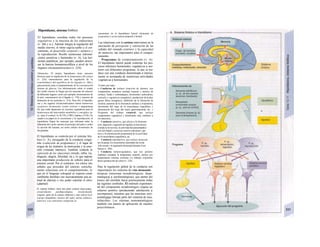 Hipotálamo, sistema límbico
El hipotálamo coordina todos los procesos
vegetativos y la mayoría de los endocrinos
(v. 266 y ss.). Además integra la regulación del
medio interno, el ritmo uigi/ia-sueño y el cre-
cimiento, el desarrollo corporal y anímico y
la reproducción. Recibe numerosas informa-
ciones sensitivas y humorales (v. A). Las hor-
monas peptídicas, por ejemplo, pueden atrave-
sar la barrera hematoencefálica a nivel de los
órganos circunueníricu/ares (v. 224).
Aferencias. El propio hipotálamo tiene sensores
térmicos para Ia regulación de Ia temperatura del cuerpo
(v. 224), osmosensores para Ia regulación de Ia
osmolalidad y del equilibrio de los líquidos (v. 168) y
glucosensores para el mantenimiento de Ia concentración
mínima de glucosa. Las informaciones sobre el estado
del medio interno Ie llegan por las neuronas de sensores
de diferentes lugares, como, por ejemplo, termosensores de
Ia piel, osmosensores en el hígado (v. 170) y sensores de
distensión de las aurículas (v. 214). Para ello, el hipotála-
mo y los órganos circunventriculares tienen numerosos
receptores hormonales (como cortisol o angiotensina
II), que están dispuestos en circuitos reguladores para Ia
homeostasia del intercambio metabólico y energético (p.
ej., para el cortisol, Ia ACTH y CRH y leptina y CCK). En
cuanto a su papel en el crecimiento y Ia reproducción, al
hipotálamo llegan las neuronas que informan sobre Ia
dilatación del cuello uterino al principio del parto o sobre
Ia succión del lactante, así como señales hormonales de
las gónadas.
El hipotálamo se controla por el sistema lím-
bico (v. A), encargado de la conducta congé-
nita («selección de programas») y el lugar de
origen de los instintos, la motivación y la emo-
ción («mundo interno»). También controla la
expresión de las emociones (miedo, rabia, ira,
disgusto, alegría, felicidad, etc.), lo que supone
una importante producción de señales para el
entorno social. Por el contrario, los olores son
señales que proceden del entorno, estrecha-
mente relacionas con el comportamiento, lo
que en el lenguaje coloquial se expresa como
«ambiente familiar» (no necesariamente una ac-
titud de alarma) o «no poder soportar el olor»
(¡alarma!).
El sistema límbico tiene una parte cortical (hipocampo,
circunvolución parahipocámpica, circunvolución
cingular, parte de Ia corteza olfatoria) y otra subcor-tical
(cuerpo amigdalino, núcleos del septo, núcleo talámico
anterior). Las conexiones recíprocas se
encuentran en el hipotálamo lateral (demanda de
programas) y en Ia corteza temporal y frontal.
Las relaciones con la corteza intervienen en la
asociación de percepción y valoración de las
señales del «mundo exterior» y la capacidad
de memoria, tan importantes para el compor-
tamiento.
Programas de comportamiento (v. A).
El hipotálamo lateral puede controlar los pro-
cesos inferiores hormonales, vegetativos y mo-
tores con diferentes programas, lo que se tra-
duce con una conducta determinada e interna-
mente se acompaña de numerosas actividades
vegetativas y hormonales.
Existen, por tanto:
» Conductas de rechazo (reacción de alarma), con
componentes somáticos (actitud corporal y mímica de
rechazo, huida o contraataque), hormonales (adrenalina,
cortisol) y vegetativos (simpático): producción de ácidos
grasos libres energéticos, inhibición de Ia liberación de
insulina, aumento de Ia frecuencia cardíaca y respiratoria,
incremento del riego de Ia musculatura esquelética y
disminución del riego del tracto gastrointestinal, etc. »
Programa del trabajo corporal, que incluye
componentes vegetativos y hormonales muy similares a
los anteriores;
• Conducta nutritiva, que afecta a Ia alimenta
ción, digestión e ingestión de líquidos (como buscar
comida en Ia nevera), Ia actividad del parasimpático
con movilidad y secreción reactiva intestinal y gás
trica y Ia minimización posprandial de Ia actividad
de Ia musculatura esquelética, etc.
• Conducta reproductiva, que incluye atracción
por Ia pareja, los mecanismos neuronales de excita
ción sexual y Ia regulación hormonal durante el em
barazo (v. 304).
» Conducta termorreguladora, que nos permite
mantener constante Ia temperatura corporal, incluso con
temperaturas externas extremas y/o trabajos corporales
duros (producción de calor) (v. 224).
Para la regulación global de la conducta son
importantes los sistemas de vías monoami-
nérgicas (neuronas noradrenérgicas, dopa-
minérgicas y serofoninérgicas), que parten del
tronco del encéfalo hacia prácticamente todas
las regiones cerebrales. El estímulo experimen-
tal del componente noradrenérgico origina un
refuerzo positivo (produciendo satisfacción y
recompensa), mientras que las neuronas sero-
toninérgigas forman parte del «sistema de insa-
tisfacción». Los sistemas monoaminérgicos
también son puntos de aplicación de muchos
psico/órmacos.
 