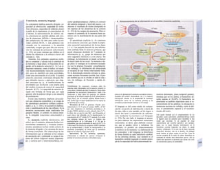 Conciencia, memoria, lenguaje
La conciencia implica atención dirigida, ca-
pacidad de abstracción, capacidad de verba-
lizar procesos, capacidad de elaborar planes
a partir de la experiencia, el conocimiento de
sí mismo, la representación de valores, etc.
La conciencia nos permite además salir airo-
sos de situaciones difíciles y desacostumbra-
das (adaptación). Se sabe poco sobre la acti-
vidad cerebral (SCCL, v. más adelante) rela-
cionada con la conciencia y la atención
controlada, excepto que para ello son necesa-
rios los sistemas de activación subcorticales
(v. 322), así como sistemas que inhiben en el
tálamo las afluencias a la corteza a través del
estriado (v. 326).
Atención. Los estímulos sensitivos recibi-
dos se comparan y valoran con el contenido de
la memoria a largo plazo, en fracciones de se-
gundo, en la memoria sensorial (v. A). Las si-
tuaciones rutinarias, como el tráfico, se resuel-
ven inconscientemente (atención automatiza-
da), para no interferir con otras actividades,
como una conversación en el coche. A nuestra
atención consciente, controlada (dirigida) lle-
gan estímulos nuevos o equívocos, que origi-
nan reacciones (p. ej., el establecimiento de
prioridades) que involucran a una amplia parte
del cerebro (sistema de control de capacidad
limitada, SCCL). La capacidad de atención di-
rigida está limitada, de forma que, por regla
general, sólo la podemos dirigir a una situación
de estimulación.
Existe una memoria implícita (procedu-
ral) que almacena costumbres y se ocupa de
los aprendizajes asociativos (reflejos condicio-
nados; p. ej., v. 236) y no asociativos (habitua-
ción y sensibilización de las vías reflejas). En la
memoria inconsciente están implicados los
ganglios básales, el cerebelo, la corteza moto-
ra, la amígdala (reacciones emocionales) y
otros.
La memoria explícita (declarativa, del
saber), por el contrario, almacena hechos (co-
nocimientos semánticos) y vivencias (conoci-
mientos episódicos) (si han vivido a través de
la memoria dirigida) y los presenta de nuevo
de forma consciente. Del almacenaje de las
informaciones que se elaboran en los campos
de asociación uni y polimodal se ocupa el sis-
tema del lóbulo temporal medial (hipocam-
po, y corteza peri y entorinencefálica, así
como parahipocámpica): elabora el contexto
del entorno temporal y local del suceso y al-
macena el resultado de forma retrógrada en
las espinas de las dendritas de la corteza
(v. 322) de los campos de asociación. Para re-
cuperar el contenido de la memoria basta en-
tonces con la manifestación de una parte del
suceso.
El aprendizaje explícito (v. A) comienza
en la memoria sensorial, que retiene la impre-
sión sensorial (automática) de forma fugaz
(<1 s). Una pequeña fracción de esta informa-
ción continúa hasta la memoria primaria, que
puede almacenar alrededor de 7 unidades de
información (p. ej., grupo de números) por
unos segundos (memoria a corto plazo). Sin
embargo, la información se puede verbalizar
la mayor parte de las veces. La memoria a lar-
go plazo se consigue en la memoria secunda-
ria con la práctica frecuente: consolidación.
Sin embargo, la información ahí almacenada
se recupera de una forma relativamente lenta.
En la denominada memoria terciaria se alma-
cenan acciones frecuentes (escribir, leer, el pro-
pio nombre) que no se olvidan en toda la vida y
son, sin embargo, de frecuente y rápida de-
manda.
Probablemente las conexiones circulares entre las
neuronas están relacionadas con Ia memoria primaría (a
corto plazo), mientras que para Ia memoria a largo plazo
predominan los mecanismos biomecánicos. Junto a las
variaciones a largo plazo del geno-ma, un aumento
persistente de las uniones sinápti-cas (PLP, potenciación a
largo plazo), por un estímulo repetido durante horas o
días, podría jugar un papel fundamental en las espinas de
las dendritas de Ia corteza.
Mecanismo de PLP. El glutamato liberado presi-
nápticamente (v. 55, F) activa el receptor AMPA y el Na*
que entra despolariza Ia membrana postsinápi-ca. El
receptor NMDA también se activa, dejando entrar Ca+
* a
Ia célula, una vez que los iones Mg2+
, que bloqueaban su
canal iónico, han difundido con Ia despolarización. La
concentración de Ca2
* celular [Ca2
*], aumenta. Si se repite
esto suficiente número de veces, se produce una
autofosforilaclón de Ia CaM-cinasa Il (v. 36) por Ia
calmodulina, que cesa al descender de nuevo Ia [Ca2
*], La
CaM-cinasa Il fos-forillza los receptores AMPA (aumento
de su conductividad) y facilita su Incorporación a Ia
membrana postsináptlca, de forma que Ia transmisión
slnáp-tica se refuerza a largo plazo (PLP).
Alteraciones de Ia memoria (amnesia).
Clínicamente se entiende por amnesia retrógrada Ia
pérdida de Ia memoria primaria y dificultades (pasa-
jeras) en Ia demanda de Ia memoria secundaria (motivo:
sacudida del cerebro, electroshock, etc.). La amnesia
anterógrada consiste en Ia incapacidad de transmitir
información nueva de Ia memoria primaria a Ia
secundaria (el denominado síndrome de Korsakoff).
El lenguaje es útil como medio de comuni-
cación: recepción de información a través de
los ojos, oídos y, por ejemplo, en los ciegos, a
través del tacto y transmisión de informa-
ción mediante la escritura y el lenguaje
(v. 370). Por otro lado, el lenguaje es necesa-
rio para elaborar las impresiones sensoriales
conscientes, es decir, para elaborar concep-
tos, que se pueden volver a verbalizar. En
principio, es posible un almacenamiento
económico en la memoria. La elaboración de
los conceptos y del lenguaje se distribuye
de forma distinta en cada hemisferio cerebral.
En las personas diestras, casi siempre es el
hemisferio cerebral izquierdo el asiento princi-
pal de la capacidad del habla (denominado he-
misferio dominante, plano temporal grande),
mientras que en los zurdos, el hemisferio de-
recho supone el 30-40%. El hemisferio no
dominante es también importante para el re-
conocimiento de las palabras, la entonación y
numerosas acciones no verbales, como la mú-
sica, el pensamiento espacial y el reconoci-
miento del rostro.
Esto queda ilustrado por el comportamiento de los
pacientes cuyas conexiones ¡nterhermisféricas (como
en algunos casos de epilepsia grave intratable) se han
tenido que seccionar. Si un paciente de estas
características (de «cerebro partido»), por ejemplo,
palpa con Ia mano derecha (información en el
hemisferio cerebral izquierdo) un objeto, Io puede
nombrar verbalmente. Si Io toca con Ia mano izquierda
(hemisferio derecho), esto no es posible, sin embargo
puede mostrar un objeto similar en una foto. Como Ia
sección completa de Ia unión de ambos hemisferios se
acompaña de muchas otras alteraciones graves, sólo se
realiza esta operación en pacientes que cursan con crisis
de convulsiones graves, no controlables.
 