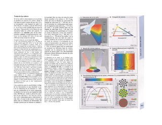 Visión de los colores
Si la luz solar se descompone en un prisma,
se produce un espectro de colores, desde el
rojo hasta el moleta (colores del arco iris). El ro-
jo corresponde a una longitud de onda λ de
650-700 nm y el moleta a una de 400-420 nm
(v. A). El ojo es muy sensible para los rayos de
este área λ. Para percibir Ia luz blanca no son
necesarios todos los colores del espectro. Es
suficiente si se mezclan entre si dos deter-
minados colores (complementarios) adi-
tivos. La luz naranja (612 nm) y la luz azul
(490 nm) serían un par de este tipo.
Se puede evidenciar con un triángulo de colores
(v. B) o una presentación similar (p. ej., una tabla de
colores normal según DIN 5033): en los dos lados
superiores se ha dispuesto el espectro visible; en el
interior del triángulo hay un punto «blanco». Todas las
líneas rectas que pasan por ese punto cortan los lados del
triángulo a Ia altura del color par complementario (p. ej.,
612 y 490 nm; v. B). La mezcla de colores aditivos de Ia
misma proporción de rojo y verde produce una
impresión de color amarillo (v. C). Si predomina el rojo,
se percibirá el naranja y si Io hace el amarillo, será verde-
amarillo, es decir, los colores que se encuentren en el lado
entre el amarillo y el rojo en el triángulo de colores. Algo
similar sucede con Ia mezcla entre verde y violeta (v.
B y C). Si se combinan el rojo y el violeta, aparece el
púrpura, que no está contenido en el espectro (v. B).
Esto quiere decir que con Ia combinación de tres colores
elementales del espectro de colores (según Io convenido,
rojo [700 nm], verde [546] y azul [435]) se pueden
conseguir todos los demás colores, incluso el blanco, ya
que de los tres colores del espectro se pueden combinar
todos los pares posibles de colores complementarios.
Un principio opuesto a Ia combinación fisiológica de
colores aditivos (v. C) subyace a Ia combinación
sustractiva de colores física, como en Ia pintura o en los
filtros de colores que se utilizan en Ia fotografía. Una laca
amarilla o un filtro amarillo absorben Ia parte azul de Ia
luz blanca, de forma que el color complementario
amarillo permanece.
Una condición para la sensibilidad a la luz
de los fotosensores es que absorban /a luz.
Con la rodopsina de los bastones (v. 348),
que son responsables de la visión crepuscular,
se absorbe en el ojo la luz con longitud de onda
entre 400-600 nm, siendo la absorción máxi-
ma (AJ de 500 nm (v. El). Por eso, de no-
che, la luz verdeazulada parece relativamente la
más clara y la roja la más oscura. Llevar unas
gafas rojas en condición de luminosidad, por
ejemplo, permite que los bastones se adapten a
la oscuridad. Hay tres tipos de conos de visión
diurna sensibles a los colores (v. El): el pig-
mento del cono K absorbe luz azul-violeta de
longitud de onda corta (Xn^ = 420 nm), los co-
nos M absorben luz verdeazulada hasta amari-
lla, de longitud de onda media (X014x = 535 nm) y
los conos L, luz desde amarilla hasta roja, de
longitud de onda larga (A1nJx = 565 nm). (Las
curvas fisiológicas de sensibilidad en El tienen
en cuenta la absorción a través del cristalino).
Los rayos ultravioleta (Amáx< 400 nm) e in-
frarrojos (A1113x > 700 nm) no son visibles. Con la
información de estos tres tipos de conos (=
validez periférica de la teoría tricromática de
Ia visión de colores) y la traslación en un
canal de luminosidad y en cana/es de colores
complementarios en la retina y el CGL (E2, y
v. 354), la corteza óptica está en condiciones
de reconocer los diferentes tipos de colores,
contando con la saturación de los colores
(mezcla de grises) junto a las 200 tonalidades
diferentes (umbral diferencial absoluto de color
1-2 nm; v. D, «norma»).
La percepción de los colores es, en cualquier caso,
bastante compleja, ya que, por ejemplo, el papel blanco
se ve igualmente blanco al utilizar luz blanca (sol),
amarilla (bombilla) o roja. No somos capaces de
discernir, por ejemplo, todos los colores de las diferentes
partes de una casa que estén en parte al sol y en parte a Ia
sombra. La constancia del color es el resultado de Ia
transformación retiniana y central1
de las señales de Ia
retina. Lo mismo sucede en cuanto a Ia constancia del
tamaño y Ia forma. Un hombre a 200 m de distancia es
mucho más pequeño en Ia retina que si está a 2 m; sin
embargo, siempre Io percibimos como un hombre de
tamaño normal. Una mesa rectangular vista desde arriba
Ia percibimos como tal, mientras que si Ia observamos de
lado, se representa en Ia retina como un rombo. El 9% de
los hombres y el 0,5% de las mujeres son daltónicos, es
decir, algunos colores los distinguen con dificultad o ni
siquiera los distinguen (umbral diferencial del color alto',
v. D). Los protanopes (no distinguen el color rojo) se
deben diferenciar de los deuteranopes (no distinguen el
color verde) y los tritanopes (no distinguen el color azul-
violeta) y en estos tres casos Ia anomalía solo afecta a un
color. La capacidad de distinguir los colores se explora
con los mapas de colores o con el denominado
anomaloscopio. Con este último, el paciente (aditivo, ver
arriba) debe mezclar un amarillo determinado a partir del
rojo y el verde. Un protanope, por ejemplo, requiere
para ello una intensidad alta de rojo y un deuteranope,
mucho verde. El primero señala todos los colores con
una λ > 520 nm como amarillos.
 