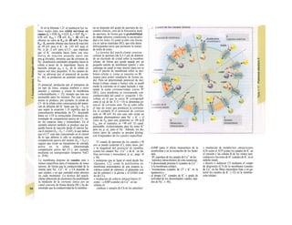 P"
Si en la fórmula 1.21 se sustituyen los va-
lores reales para una célula nerviosa en
reposo (fK = 0,90; fNa = 0,03; fc, = 0,07; EK = -
0,90 mV; ENa = +70 mV; Ec] = -83 mV) se
obtiene un valor de En, de -85 mV. La resta
Em - Ex permite obtener una fuerza de tracción
de +5 mV para el K+
, de -145 mV para el
Na+
y de -2 mV para el Cl~, que implican
que el K+
circularía hacia fuera con una
fuerza de tracción pequeña (pero con
una g elevada), mientras que la corriente de
Na+
desplazaría cantidades pequeñas hacia la
célula a pesar de la importante fuerza de
tracción, porque gNa o fNa de la célula en
reposo son muy pequeños. Si los canales de
Na+
se abrieran por el potencial de acción
(v. 46), se produciría un aumento enorme de
INa.
El potencial, producido por el transporte de
un tipo de iones, empuja también a otros
aniones o cationes a cruzar la membrana
(«electrodifusión, v. 22), siempre que ésta sea
permeable para los mismos. Por este meca-
nismo se produce, por ejemplo, la salida de
Cl~ de la célula como consecuencia del poten-
cial de difusión del K+
hasta que Eg = Em, lo
que según la ecuación 1.18 significa que la
concentración intracelular de Cl~ desciende
hasta ser 1/25 la extracelular (fenómeno de-
nominado de compartición pasiva de Cl~ en-
tre los espacios intra y extracelular). En el
ejemplo anterior también se produce una pe-
queña fuerza de tracción desde el interior ha-
cia el exterior (En, - Ecl = -2 mV), lo que indica
que el Cl" está más concentrado en el citosol
de lo que debería si sólo se produjera una
compartición pasiva del mismo (Ecl = Em) y
sugiere que existe un mecanismo de entrada
activa en la célula (denominada
compartición activa del Cl~), por ejemplo
mediante un transportador simporte NaCl
(v. 29 B).
La membrana dispone de canales más o
menos específicos para el transporte de iones
(poros), de forma que la conductividad de la
misma para Na+
, Ca2+
, K+
o Ch depende de
qué canales y en qué cantidad estén abiertos
en cada momento. La técnica del patch-
clamp (absorción de electrones) ha posibilitado
la medición de la corriente iónica por un
canal concreto de forma directa (B) y ha de-
mostrado que la conductividad de la membra-
na no depende del grado de apertura de ios
canales iónicos, sino de la frecuencia med·
de apertura, de forma que la probabilidad
de estar abiertos condiciona la permeabi»
dad a los iones. El canal se abre con frecue·
cía en salvas repetidas (B2), que sólo durar.
milisegundos pero que permiten la entrac·
de miles de iones.
La técnica del patch-clamp consiste ·
colocar la apertura (de 0,3-3 µπι de diámetr·
de un electrodo de cristal sobre la membrai·
celular, de forma que quede tapada por un
pequeño parche de membrana (patch) y sólo
contenga un canal (o muy pocos) (para eso se
deja el parche de membrana sobre la mei·
brana celular o, como se muestra en Bl, ·
separa para poder estudiarlo de forma ais·
da). Para un determinado potencial de mei·
brana (voltaje clamp o borne) sólo se pueB
medir la corriente en el canal incluido y repi·
sentar la curua corriente/voltaje (curva W/
(B3), cuya pendiente se corresponde con·
conductividad del canal (v. ecuación 1.18).·
voltaje en el que la curva W (extrapolad!
corta al eje de las X (I = O) se denomina po-
tencia! de corriente nulo. En su valor influ·
el tipo de iones que producen la corriente·
En el ejemplo B el potencial de corriere
nulo es -90 mV. En este caso sólo existe un
gradiente electroquímico para Na+
y K+
y el
valor de EK para este gradiente es -90 ηιβ
ENa, por el contrario, es +90 mV. El canal·
permeable, exclusivamente para los iones K"
pero no, p. ej., para el Na+
. Además, los dis-
tintos tipos de canales se pueden disting·
con b/oqueantes de los canales específiod·
El estado de apertura de los canales i<B
eos se puede controlar (C), entre otros, por:
» la magnitud del potencial de membra·
(como los canales Na+
- Ca2+
y de K+
en las·
bras nerviosas y musculares; p. ej., págs. 4í
y 50).
» sustancias que se ligan al canal desde fue·
(ligandos, C2), como la acetilcolina en·
membrana postsináptica de una sinapsis n¡-
cotínica (canal de cationes), el glutamato (ca-
nal de cationes) y la glicina y el GABA (can·
les de Cl-),
» mediación de seña/es intrace/ulares (C·
como: - cAMP (canales de Ca2+
en las
células m·
cárdicas y canales de Ch en los epitelios!
- cGMP (para el efecto muscarínico de la
acetilcolina o en la excitación de los basto-
nes),
ÍP3 (apertura de los canales de Ca2+
de los
lepósitos intracelulares de esta sustancia),
" 'a denominada proteína G (canales de Ca2+
-
'e la membrana celular),
~ 'irosinacinasa (canales de Cl' y K+
en la
apoptosis) o
~ el propio Ca2+
(canales de K+
o grado de
actividad de los denominados canales rápi-
dos de Na+
, v. 46),
» mediación de metabo/itos ¡ntrace/u/ares
(C4) como el ATP (como los canales de K+
en
el corazón y las células B de los islotes pan-
creáticos) o los iones de H+
(canales de K+
en el
epitelio renal),
» directo o indirecto (?) mediante el estado
de distensión (C5) de la membrana (canales
de Ca2+
en las fibras musculares lisas o en ge-
neral los canales de K+
y Ch en la tumefac-
ción celular).
 