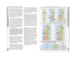 Potencial de membrana en reposo
En la membrana de las células vivas existe un
potencial eléctrico, Em, que en las células ner-
viosas y musculares no excitables se denomina
potencial de reposo (membrana) y cuyo valor
oscila entre -50 y -100 mV en función del
tipo celular (negativo en el interior de la célu-
la). La causa del potencial de reposo es una
distribución desigual de los iones (B) entre el
líquido intracelular (LIC) y extracelular (LEC).
El potencial de reposo se produce por los si-
guientes fenómenos (v. 32 y ss.):
* Mantenimiento de una distribución de
sigual de los iones: la bomba ATPasa
Na+
/K+
(v. 26) extrae Na+
de la célula y «bom
bea» K+
hacia el interior (A2), de forma que
la concentración intracelular de K+
es unas
35 veces mayor que en el exterior y la de Na+
unas 20 veces menor (B). Como en todos los
transportes activos, en éste se consume ener
gía en forma de ATP. Cuando se produce un
déficit energético o se inhibe la ATPasa Na+
-
K+
, el gradiente iónico disminuye y desaparece
el potencial de membrana.
En menor medida, los iones difusibles pueden distri-
buirse de forma desigual de modo pasivo (distribu-
ción de Gibbs-Donnan), porque las proteínas y fos-
fatos aniónicos más concentrados en el citosol no
pueden abandonar Ia célula (A1), de forma que
para mantener Ia neutralidad electrónica [K* + Na+
],
> [K+
+ Na*]a y [CIl < [C|-]a. En Ia práctica este fe-
nómeno carece de importancia para el estableci-
miento del potencial de reposo.
* Escasa conductividad para el Na+
en
reposo gNa: en condiciones de reposo la
membrana celular apenas resulta permeable
para los iones Na+
(y Ca2+
) (el valor de gNa re
presenta en reposo un % pequeño de la con
ductividad global; v. 32 y ss.), de forma que la
diferencia de concentración de Na+
(A3-5) no
se puede compensar con la difusión pasiva de
Na+
hacia el interior celular.
* Mayor conductividad para el K+
gK: la
membrana de la célula en reposo muestra una
permeabilidad relativamente buena para el
K+
(representa un 90% de la conductividad
global; v. 32 y ss.). La importante diferencia de
concentración (punto 1) hace que los iones K+
difundan desde el LIC al LEC (A3). La difusión
de iones K+
distorsiona la carga de la membra-·
na por su carga positiva (potencial de di/u-·
siónj. Este potencial de difusión aumenta hasta·
que casi se compensa el gradiente de concen-S
tración como fuerza tractora de la corriente de
K+
(A4): potencial de membrana Em = K+
- ροβ
tendal de equilibrio EK (v. 32).
» Distribución del Cl": como la membrane
celular también conduce Cl" (ga mayor en las
células musculares que en las nerviosas), el po-
tencial de membrana tiende a extraer iones Cl
de la célula (A4) (fuerza tractora eléctrica) has·
ta que el gradiente de concentración de CM
(fuerza tractora química) tiende a introducirle
de nuevo a la célula, hasta que la concentre
ción intracelular de este ion consigue el poten·
cial de equilibrio para el CL Ecl = Em(A5). Este
[CL]1 se puede calcular con la ecuación de
Nernst (v. 32; ecuación 1.18 con ζ = -1). Sin
embargo, esta distribución pasiva de Cl" entr·
el LlC y el LEC sólo se produce mientra·
que no se introduzca a la célula de forma activ·
(v. 34).
* ¿Por qué es menos negativo En, que
EK? A pesar de la baja permeabilidad de B
membrana para el Na+
y el Ca2+
en reposo, s·
produce difusión de iones Na+
(y algunos ione·
Ca2+
) hacia el interior celular (A4,5), porquj
ambos iones tienen un potencial de equilibrii
muy positivo (¡importante fuerza de tracciói
química y eléctrica!, B y v. 32 y s.). Esta comer
te despolariza la célula, lo que determina qu
por cada carga positiva de entrada abandon la
célula un ion K+
. Las [Na+
], y [Ca2+
I1 aumej tan, la
de [K+
], disminuye y EK y En, se vuelve menos
negativas, cuando la ATPasa Na+
TS no
consigue restablecer estos gradientes (en caso
del Ca2+
de forma indirecta a través dd
intercambiador 3 NaVCa2+
, v. 36).
Todas las células vivas muestran un poten!
cial de membrana (reposo), pero sólo las céh·
las excitables (nervios, músculos) tienen la c·
pacidad de modificar su conductividad iónic·
de forma importante frente a un estímulo: p·
tendal de acción (v. 46).
 