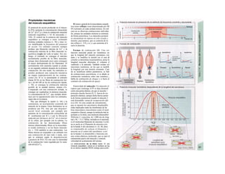 Propiedades mecánicas
del músculo esquelético
El potencial de acción producido en el múscu-
lo (PA) aumenta la concentración intracelular
de Ca2+
([Ca2+
],) e inicia la contracción muscular
(músculo esquelético, v. 63, B; miocardio, v.
194). El control de la potencia del músculo
esquelético se consigue a veces reclutando
distintas unidades motoras (v. 58) y otras ve-
ces modificando la frecuencia del potencial
de acción. Un estímulo concreto siempre
produce una liberación máxima de Ca2+
y la
contracción máxima de la fibra muscular es-
quelética (regla del todo o nada). Sin em-
bargo, el estímulo no consigue el máximo
acortamiento posible de la fibra muscular,
porque dura demasiado poco para conseguir
el mayor deslizamiento de los filamentos. El
acortamiento sólo aumenta cuando se produ-
ce un segundo estímulo después de la primera
contracción. De este modo, los estímulos re-
petidos producen una sumación mecánica
en etapas (superposición) de las contrac-
ciones (A). Si se va aumentando el estímulo
(hasta 20 Hz en las fibras de contracción len-
tas y de 60-100 en las de contracción rápida;
v. 58), se consigue la contracción máxima
posible de la unidad motora: tetania (A).
Comparado con una contracción aislada, se
consigue así cuadriplicar la potencia muscular.
La concentración de Ca2+
, que siempre dismi-
nuye por la superposición entre los estímulos,
sigue alta en la tetania.
Hay que distinguir la rigidez (v. 64) y la
contractura, un acortamiento sostenido del
músculo de la tetania. Estos fenómenos no se
producen por PA, sino por una despolari-
zación local sostenida, por ejemplo por
aumento de la concentración extracelular de
K+
(contractura por K+
), o por la liberación
inducida por fármacos de Ca2+
en el interior
de Ia célula, por ejemplo con la cafeína. La
contracción de las denominadas fibras
tónicas (determinadas fibras en la musculatu-
ra ocular extrínseca y en los husos muscula-
res, v. 318) también es una contractura. Las
fibras tónicas no responden a un estímulo con
una contracción de tipo todo o nada, sino
que se contraen según Ia despolarización
(¡ausencia de PA!). En este caso la intensidad
de la contracción viene regulada por la varia-
ción de la [Ca2+
],.
El «tono» general de la musculatura esquelé-
tica (tono reflejo) viene determinado por IB
PA normales en cada unidad motora. En estl
caso no se observan contracciones individúe
les, porque las unidades motoras se estimula
de forma asincrónica. Los músculos postural
se encuentran en reposo en este estado c
tensión ¡nuo/untaria, que se controla de fo
ma refleja (v. 318 y ss.) y que aumenta al h
cerlo la atención.
Formas de contracción (B). Una coi
tracción muscular puede ser isométrica, en
que la longitud del músculo permanece con
tante y se modifica la tensión (en el caso d
corazón se denomina isouoíumétrica, porqi la
longitud muscular determina el volumen d
ventrículo o la aurícula). También existen col
tracciones isotónicas, en las que se modifk
la longitud con una tensión constante. Cuai
do se modifican ambos parámetros, se hab
de contracciones auxoíónicas, si se añade ur
contracción isométrica sobre una isotónica ¡
habla de contracción de choque y si fuera al
contrario de contracción de apoyo.
Elasticidad del músculo. Un músculo el
reposo que contenga ATP se deja distendí
como una goma elástica, sin que se necesite <
principio mucha fuerza (D, E, fuerza de rec
peración elástica), aunque dicha fuerza aumet
ta de forma exponencial cuando el músculo 5
está distendido: curua de recuperación elfo
tica (D). En este estado de estiramiento,
que se oponen los sarcómeros desplazable
están implicados tanto las membranas de las
bras musculares (sarcolema) como el tejid·
conjuntivo (fascia), aunque la molécula más in·
portante es la titina, una molécula distensible!
filiforme (= conectina, de 1.000 nm de long·
tud y Mr = 3-3,7 MDa), incluida en el sarcóméj
ro (6 moléculas/filamento de miosina). La titi-
na se ancla en el filamento de miosina a niv
de la banda A del sarcómero (v. 61, B), dont
es responsable de colocar el filamento {
miasma en el centro del sarcómero; a niv
de la banda I es distensible y funciona con
una «cinta elástica» molecular, que se opor al
estiramiento pasivo del músculo y controla
velocidad de acortamiento del mismo.
La distensibilidad de Ia titina hasta 10 vea
(músculo esquelético, menos en el cardíaco) se ba¡
en el motivo repetido PEVK (código para prolin·
 