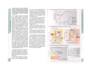 glutamato-valina-lisina). Cuando el estiramiento
muscular es importante (parte más empinada de Ia
curva de recuperación elástica; D) se despliegan
además unas cadenas globulares (dominios de Ia
inmunoglobulina C2), efecto que parece retrógrado
de forma que cuanto más rígido sea, más rápida-
mente se produce el estiramiento (característica
«amortiguadora»).
Existe una estrecha relación entre la longitud
(L) y la potencia («tensión», K) del músculo
(C.E). La potencia global es la suma de la po-
tencia activa del músculo y su fuerza de recu-
peración elástica. La potencia activa se cal-
cula como medida conjunta de las posibles in-
teracciones entre la actina y la miosina y se
modifica en función de la longitud inicial del
sarcómero (C, D). La mayor tensión activa
(isométrica, K0) del músculo esquelético se con-
sigue con su longitud en reposo (L1113x; longitud
aproximada de un sarcómero 2-2,2 mm; C).
Cuando el sarcómero se acorta (L < L013x), se
produce el solapamiento de los filamentos finos
y sólo se consigue desarrollar una tensión
inferior a K0 (C). Cuando L = 70% de Lmax
(longitud del sarcómero 1,65 mm), los filamen-
tos gruesos alcanzan la banda Z. lo que reduce
aún más K. Por el contrario, cuando un mús-
culo está muy distendido (L > L111J sólo se puede
desarrollar una tensión reducida, porque se
reduce el número de posibles puentes actina-
miosina (C). Cuando la longitud es 130% de la
Lmax) la fuerza de recuperación elástica representa
una parte importante de la potencia conjunta
(E). La curva longitud/tensión se corresponde
en el corazón con el diagrama pre-
sión/volumen, en el que se representa en lugar
de la longitud muscular el volumen de llenado
del ventrículo y en lugar de la tensión la presión
ventricular (ν. 202). La relación entre la presión
y el volumen se puede modificar a través de la
concentración intracelular de Ca2+
(modificación
de la contractilidad; v. 203, B2).
Otras diferencias funcionales entre el múscu-
lo esquelético y cardíaco son (v. 59, A):
» El músculo esquelético (ME) se puede disten-
der más que el cardíaco (MC), lo que indica que
para el mismo estiramiento Ia fuerza de recu-
peración elástica pasiva es mayor para el se-
gundo (El,2).
» El ME trabaja en general en la zona de me-
seta de ¡a curva longitud/tensión, mientras
que el MC lo hace en la pendiente (mitad infe-
rior a Lmax) de su curva longitud/tensión caí· te
de meseta (C y El,2), lo que permite M
aunque el corazón esté más distendido dura·
te el llenado diastólico, pueda desarrollar til
cha potencia (mecanismo de Fran/c-Sfar/ijJ
v. 202). En el MC el estiramiento modifica!
sensibilidad al Ca2+
de la troponina (= curvi
más empinada en E2).
* El PA del MC dura más que el derB
(v. 59, A), porque dada la rápida inactivacij
de los canales de Na+
gK disminuye y g^,·
menta hasta 200-500 ms. La corriente lentj
de iones Ca2+
así producida determina una·
seta en el PA, de forma que el periodo refra¿
tario termina cuando la contracción casi se ·
extinguido (v. 59, A).
» El MC carece de unidades motoras. A d·
renda de lo que sucede en el ME, el estím·
se distribuye por todo el miocardio de la afl
cula y de los ventrículos: confracción del todo
o nada.
* La potencia de contracción del MC pueB
variar en función de la duración del poter^B
de acción, fenómeno controlado por los cam
bios en la corriente de Ca2+
al interior celuM
La velocidad de una contracción isotónicá
es menor cuanto mayor sea la tensión (diagri
ma velocidad/tensión; Fl). La tensión mH
ma (+ menos calor) se produce cuando ·
existe acortamiento. La velocidad máxirm
(bíceps: 7 m/s) con producción de calor se B
serva en los músculos sin carga. Las cargas·
geras se pueden levantar con más rapidez qií
las pesadas (F2). La necesidad conjunta ·
energía para producir trabajo y calor es may·
en la contracción isotónicá que en la isomí·
ca. El rendimiento de un músculo es tensf·
(potencia) χ velocidad de acortamiento (N · Λ
SA
= W) (Fl, superficie coloreada).
 