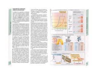 Capacidad de rendimiento
corporal, entrenamiento
La medida de la capacidad de rendimiento
corporal de los deportistas durante su entrena-
miento o de los pacientes durante la rehabilita-
ción se mide con un procedimiento estandari-
zado, fácil de emplear para el paciente y el
examinador: la ergometría. En ella se relacio-
nan parámetros fisiológicos como la extracción
de O2 (V02), la frecuencia cardíaca y respiratoria
(v. 74) y la concentración plasmática de lac-tato
(A) con el rendimiento físico del paciente (en
W o WAg de peso).
En Ia ergometría en bicicleta se ajusta el número de
vatios en el freno; en Ia ergometría con cinta sin fin
cuesta arriba (ángulo a) se calcula el rendimiento
(W) en función de Ia masa corporal (kg), de Ia fuer-
za de Ia gravedad g (m · s~2
), de Ia longitud de Ia
carrera (m), del seno de α y de 1/tiempo de carrera
(s-1
). En Ia prueba de los escalones de Margaría el
sujeto corre Io más rápidamente posible subiendo Ia
altura de un peldaño y el rendimiento se calcula en
función del peso corporal (kg), de g (m · s~2
) y del
cociente altura/tiempo (m s~1
). También existen mé-
todos ergométricos específicos para cada deporte.
Las pruebas cortas (10-30 s) permiten medir
ei rendimiento, conseguido con la utilización
anaerobia de los depósitos de energía dispo-
nibles (creaíina/os/αίο, glucógeno muscular)
y las pruebas de duración intermedia (30-
180 s) miden el rendimiento dependiente de la
glucólisis anaerobia (v. 72). Los rendimientos
sostenidos aerobios (con oxidación de glucosa
y ácidos grasos libres) se estiman mejor valo-
rando la máxima extracción de O2 (V02
max) (v. 74).
En el metabolismo anaerobio inicial se pro-
duce ácido láctico, que se disocia en lactato y
H+
. En el trabajo muy intenso (hasta 2/3 pares
de la capacidad máxima de rendimiento) no
basta con la producción aerobia de energía,
por lo que se produce de forma paralela un
metabolismo anaerobio que produce una aci-
dosis (láctica) y un aumento de la concentra-
ción de lactato en el plasma (A). Los esfuerzos
que provocan aumentos de hasta 2 mmol/1
(denominado umbra/ aerobio) se pueden tole-
rar largo tiempo, mientras que superar un nivel
de lactato de 4 mmol/1 (denominado umbral
anaerobio) indica que se ha alcanzado el límite
de esfuerzo. El trabajo se tiene que interrumpir
no sólo por el lactato, sino por la acidosis pro
gresiva (v. 74). La degradación del /actaj
se produce en el hígado y el corazón, donde Se
oxida a CO2 gastando H+
o se emplea en·
gluconeogénesis.
El entrenamiento aumenta y mantiene ·
capacidad de rendimiento del organismo. ·
distinguen tres categorías, de las que dos o tr·
se pueden combinar entre sí:
* Aprendizaje motor que se encarga de ruejo·
rar la coordinación neuromuscular y la motive
ción (p. ej., para escribir a máquina) originad*
en el SNC.
φ Entrenamiento de mantenimiento, es decife
rendimiento a largo plazo, submáximo (corre
dores de maratón), que aumenta la capacidaí
oxidativa (aumenta la densidad de mitocon-
drias) en las unidades motoras de contracción
lenta (v. 58), el volumen minuto cardíaco y fl
conjunto la V02 max (B, C). Un corazón de
mayor peso permite un mayor volumen de la*
do (C) y también aumenta el volumen respira-
torio, lo que provoca en reposo una menor^H
cuencia cardíaca y respiratoria con un rn^H
aumento durante el esfuerzo que en las perso|'
ñas no entrenadas (C). En las personas sanas la
V02 máx se limita por la sobrecarga del sistetrB
cardiovascular, no del respiratorio. En las per-
sonas con entrenamiento de mantenimiento
los niveles de lactato aumentan durante el fl
fuerzo muscular menos y más tarde que en|B
personas no entrenadas (A).
* Entrenamiento de potencia, es decir, i·
esfuerzo máximo de corta duración (levanta!
miento de pesos) produce hipertrofia muscular
(= aumento de tamaño de las células muse·
lares) y una mayor capacidad glucolítica Λ
las unidades motoras de contracción rapid·
(v. 58).
Un esfuerzo muscular desproporcionada-
mente intenso produce agujetas muscula-
res, que se deben no al aumento de ácido lác-
tico, sino a microtraumatismos que produce·
tumefacción y dolor y que se asocian con ^H
nos de micro-inflamación (D).
El agotamiento puede ser periférico, pfl
agotamiento del aporte energético y acumule
ción de productos metabólicos en el músculo ac-
tivo y que se produce muy pronto en el esfuera·
de soporte (v. 66). Se denomina agotamien·
central a la aparición de dolor relacionado coH
el esfuerzo en los músculos y las articulación™
que reduce el rendimiento y la motivación.
 