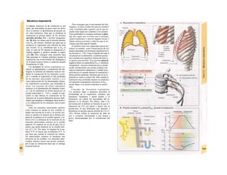 Mecánica respiratoria
La tuerza «tractora» de la ventilación y, por
tanto, del intercambio de gases entre los alvéo-
los y el entorno, es la diferencia de presión en-
tre estos territorios. Para que se produzca la
inspiración la presión dentro de los alvéolos
(presión alveolar, PA = presión intrapulmo-
nar, B) debe ser menor que la presión baromé-
trica Pbar del entorno, mientras que para que se
produzca la espiración esta relación se tiene
que invertir. Si se considerara que la Pbar es
nula, el valor de PA durante la inspiración re-
sultaría negativo y positivo durante la espira-
ción (B). Para conseguir estas presiones hace
falta aumentar el volumen pulmonar durante la
inspiración con el movimiento del diafragma y
de la pared torácica (tórax) y reducirlo durante
la espiración (A 1,2).
Las acciones de efecto inspiratorio in-
cluyen a) aplanamiento o contracción del dia-
fragma, b) aumento del diámetro torácico me-
diante la contracción de los músculos escale-
nos y (cuando la respiración es más profunda)
de los músculos intercostales externos y c) a
veces intervención de los denominados múscu-
los respiratorios accesorios, que ensanchan el
tórax. Las acciones de efecto espiratorio
incluyen a) Ia disminución del diámetro toráci-
co y de los pulmones de forma pasiua por su
propia elasticidad (v.. 116) y, cuando la espi-
ración es más intensa, b) contracción de los
músculos de la pared abdominal (prensa abdo-
minal) que desplaza el diafragma hacia arriba y
c) la contracción de los músculos intercostales
internos.
Tanto los músculos intercostales internos
como externos se anclan en dos costillas si-
tuadas una encima de la otra y su acción con-
traria se justifica en función de la distinta lon-
gitud de la palanca en la costilla superior e in-
ferior (A3). La distancia de la inserción de los
músculos intercostales externos en la costilla
superior (Y) respecto de su eje de giro (X) es
menor que dicha distancia en la costilla infe-
rior (Z' y X'). Por tanto, la longitud de la pa-
lanca X'-Z' es mayor que la distancia X-Y, lo
que hace que cuando se contraen los múscu-
los intercostales externos se produzca una
elevación de las costillas. Los músculos inter-
costales internos tienen una acción contraria,
por lo que su contracción hace que se retraiga
la pared torácica.
Para conseguir que el movimiento del dia-
fragma y el tórax resulte útil para la ventila-J
ción, el pulmón debe seguirlo, por lo que no
puede estar fijado por completo a los mismos.
Esta posibilidad se consigue mediante la pleu-
ra, dos capas que revisten una el pulmón
(pleura pulmonar) y otra los órganos circun- J
dantes (pleura parietal) y entre las que se en-
cuentra una fina capa de líquido.
El pulmón tiene una capacidad natural de 
reducir su tamaño, como consecuencia de su i
propia elasticidad y de la tensión superficial de 1
sus alvéolos (v. 118). Como el líquido del espa- I
ció pleural no es distensible, el pulmón perma-
nece anclado a la superficie interna del tórax y
se genera una presión. Esta presión pleural
negativa frente a la atmosférica Pp|eu (= presión j
intrapleural = presión intratorácica) se puede
medir introduciendo una sonda esofágica du-
rante la respiración («dinámica»). Cuando la pa-
red torácica se expande durante la inspiración, 1
dicha presión aumenta, mientras que en la es-
piración se vuelve a reducir (B). Sólo cuando la
espiración muy profunda requiere la ayuda de j
los músculos respiratorios accesorios, la Ppteu
puede llegar a ser positiva durante la espira-
ción.
Concepto de frecuencia respiratoria.
Los términos hiper e hipopnea describen la
profundidad de la respiración, mientras que
taquipnea. bradipnea y apnea aluden a su
frecuencia, sin valorar las necesidades del or-
ganismo ni la eficacia. Por último, hipo e hi-
perventilación se definen en función de que la 1
espiración de CO2 sea menor o mayor que su
producción, lo que determina que aumente o
disminuya la presión parcial arterial de CO2 (v.
142). Disnea refleja la sensación de falta de
aire y ortopnea corresponde a una disnea j
grave, desencadenada por el estiramiento del
tórax.
 