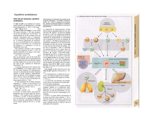 Equilibrio acidobásico
Valor del pH, tampones, equilibrio
acidobásico
El valor del pH es una medida de la concen-
tración «efectiva» de hidrogeniones (= actividad
de los hidrogeniones = fH · [H+
]; v. 378), ya que
pH = -log (fH [H+
]) |6.1]
El valor del pH de la sangre es como media
7,4 (valores normales; v. 142), que correspon-
de con una actividad de H+
de 40 nmol/1. El
mantenimiento de un pH constante tiene una
especial importancia para el organismo.
Cuando se producen desviaciones importan-
tes, se observan alteraciones del metabolis-
mo, de la permeabilidad de las membranas,
del reparto de electrólitos, etc. Los valores de
pH inferiores a 7 y superiores a 7,8 son in-
compatibles con la vida.
Para mantener constante el pH se dispone
de diversos tampones de pH (v. 379). Un
tampón importante en la sangre y otros líqui-
dos corporales es el sistema
CO2 + H2O ^ HCO3- + H+
. [6.2]
Para un determinado valor de pH resulta fun-
damental la relación entre la concentración de
la base tampón (en este caso [HCO3I) respecto
del ácido tampón (en este caso [CO2]) a través
del valor de pKa (ecuación de Henderson-
Hasselbalch; A).
La mayor importancia del sistema tam-
pón CO2/HCO3~ en la sangre radica en que
no sólo puede tamponar los hidrogeniones,
sino que la concentración de ambos elementos
tampón se puede modificar independiente-
mente uno del otro: [CO2] mediante la respira-
ción y [HCO3I a través del hígado y los ríño-
nes (A; v. 174), por lo que se le denomina sis-
tema tampón abierto (v. 140).
El más importante de los demás tampones
sanguíneos (= tampón no bicarbonato) es la
hemoglobina de los eritrocitos (320 g de
Hb/1 de eritrocitos; CHCM, v. 89, C).
HbH ^ Hb- + H+
; [6.3]
Oxi-HbH - Oxi-Hb- + H+
. [6.4]
La oxi-Hb~, un ácido relativo, une menos hi-
drogeniones que la menos acida Hb" desoxi-
genada (v. 124). Cuando la Hb se oxigena en
el pulmón a oxi-Hb, se liberan hidrogenio-
nes. La reacción 6.2 se dirige principalmente
hacia la izquierda, permitiendo la liberación
de los enlaces químicos del CO2 y su espi-
ración.
Otros tampones no bicarbonato de Ia sangre son las
proteínas plasmáticas y los fosfatos inorgánicos
(H2PO4" ^H* + HPO4
2
") y orgánicos (en los eritroci-
tos). También los tampones orgánicos e inorgánicos
intracelulares de los distintos tejidos se usan para el
tamponamiento.
La capacidad de tamponamiento resulta
decisiva para la capacidad tampón de una solu-
ción (mol · H · [∆ρΗ]"1
). Se trata de la cantidad
de iones H+
o OH" por volumen que modifican
el valor del pH en una unidad, de forma que la
capacidad de tamponamiento se corresponde
con la pendiente de la curva de titulación de
este tampón (v. 380, B). La capacidad de tam-
ponamiento depende de a) la concentración
del tampón y b) del valor del pH. Cuanto más
se aleje éste del valor de pKa del tampón, me-
nor será su capacidad (v. 380). La capacidad
de tamponamiento de la sangre para un
pH de 7,4 y una PcO2 constante es de unos
75 mmol · H · (∆ρΗ)"1
. Como dicha capaci-
dad depende de la PCO2, se utiliza a nivel clíni-
co como medida de la misma la concentra-
ción de bases tampón de la sangre, que sue-
le ser 48 mval/1 (v. 142 y 146). Corresponde a
la suma de las concentraciones de todas las for-
mas de tampón, que pueden unirse con hidro-
geniones, como HCOs-
, Hb", ox¡-Hb~, bifosfo-
glicerater, los aniones de las proteínas del plas-
ma, HPO4
2
', etc.
Las causas de las modificaciones del
valor de pH sanguíneo incluyen (A y v. 142
V S.):
* Los hidrogeniones se adquieren directa
mente, con la dieta (vinagre) o por el metabo
lismo o son obtenidos de la sangre (en el riñon;
v. 1744; ss.).
* Los iones OH" son ingeridos, por ejemplo
a través de las sales básicas de los ácidos débi
les en las dietas vegetarianas.
» La concentración de CO2 se puede modificar
mediante cambios en /a producción meta-
bólica de CO2 o en su espiración. Si la [CO2]
disminuye, el valor del pH aumenta y al con-
trario (A; [CO2] está en el denominador de la
ecuación).
» El HCO3" se puede obtener directamente de
la sangre (excreción renal o diarrea; v. 176 y 1
142), de forma que un aumento o descenso de
[HCO3'] produce como consecuencia un des-
censo o aumento del pH (A; [HCO3"] está en el
numerador de la ecuación).
 