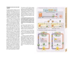 El tampon bicarbonato-dióxido de
carbono
En todas las soluciones tampones el valor de
pH guarda relación con el cociente de las con-
centraciones del par tampon a través de su va-
lor de pKa (v. 378). Por tanto, en el caso del
bicarbonato el valor del pH depende del co-
ciente entre la concentración de bicarbonato
[HCO3"] y del dióxido de carbono físicamente
disuelto [CO2] (Al, ecuación de Henderson-
Hasselbalch). Por ejemplo, cuando se dispone
de [HCO3I = 24 mmol/1 y [CO2] = 1,2 mmol/1,
el valor del cociente [HC03-]/[CO2] = 24/1,2
= 20. Cuando en la ecuación se sustituye
Iog20 (= 1,3) y pKa (= 6,1), se obtiene un valor
de pH de 7,4 (A2). Si el valor de [HCO3I se
redujera a 10 y el de [CO2] a 0,5 mmol/1, el
cociente entre ambos valores no se modifica-
ría, por lo que el pH permanecería constante.
En una solución tamponada los hidroge-
niones presentes se ligan con la base tam-
pón (en este caso HCO3"), por lo que se pro-
duce a través del ácido tampon: HCO3" + H+
-
» CO2 + H2O. En un sistema cerrado (del
que no se puede escapar el CO2; A3) se pro-
duce tanto ácido tampon (CO2) como necesita
la base tampon (HCO3") y al contrario cuando
se trate de iones OH". Si se parte de unos
valores 24/1,2 mmol/1 para el cociente
[HCO3-VfCO2] (A2) y se modifica añadiendo
2 mmol/1 de hidrogeniones, el cociente pasa a
ser 22/3,2, lo que determina un valor de pH
de 6,93 (A3). Estas cifras ilustran que la capa-
cidad de tamponamiento del tampon HCO3Y
CO2 en un sistema cerrado es muy escasa,
porque el valor de pKa de 6,1 está muy alejado
del valor de pH deseado (7,4) (v. 138 y 380).
Cuando el CO2 resultante se puede elimi-
nar de la solución (sistema abierto; A4), la
administración de la misma cantidad de hidro-
geniones (2 mmol/1), sólo modifica [HCO3I.
El cociente [HCO31/[C02] pasa a ser en este
caso 22/1,2, por lo que el valor de pH sólo
desciende a 7,36, mucho menos que en el sis-
tema cerrado. En el organismo el tampón bi-
carbonato se comporta como un sistema abier-
to, ya que la presión parcial de CO2 (PcO2) y
la [CO2] plasmática (= α · PC02; v. 126) se pueden
regular a través de la respiración (B). En
condiciones normales el pulmón puede espirar
tanto CO2 como se produzca en el metabolis-
mo (15.000 a 20.000 mol/día), lo que per-
mite mantener una PcO2 alveolar constante
(v. 120 y s.), a la que se equipara la PcO2 del
plasma cada vez que atraviesa el pulmón, lo'que
implica que la PCO2 de la sangre arterial, Pa002, se
mantiene constante. La entrada en la periferia
de hidrogeniones aumenta el valor de PcO2 en
la sangre venosa (H+
+ HCO3" -> CO2 + H2O)
(Bl). Este aumento de la oferta de CO2 es
eliminado con rapidez por el pulmón, lo que
permite que el valor de PcO2 arterial no se mo-
difique, a pesar de Ia mayor oferta de H+
(siste-
ma abierto).
Los siguientes cálculos nos ilustran que un aumen-
to como el descrito en Ia espiración de CO2 casi no
tiene importancia cuantitativa. Si se doblara Ia pro-
ducción de hidrogeniones en el organismo a Io largo
de un día (en condiciones normales 60 mmol/día),
se producirían (sin contar con el tampón no bicar-
bonato) 60 mmol de C02/día adicionales, Io que re-
presenta solo un 0,3% de Ia excreción de C02/día
normal.
En principio la adición periférica de OH" ten-
dría el mismo efecto. Como OH" + CO2 -»·
HCO3-, el aumento de [HCO3I y de la PcO2 en
la sangre venosa serían menores de lo normal.
Tampoco en este caso se modificaría la PCO2
arterial por la menor excreción de CO2 (B2).
Para un pH de 7,4 el sistema abierto
HCO3VCO2 (PCO2 constante 5,33 kPa) repre-
senta 2/3 de la capacidad tampón de la sangra
(v. 138) y el resto lo representan los tampones
no bicarbonato presentes sobre todo a nivel in-
tracelular.
El tampón no bicarbonato (TNB) tampo-
na en un sistema cerrado, es decir, su con-
centración global ([base del TNB] + [ácido del
TNB]) permanece constante después de un
tamponamiento. Sin embargo, sufre cambios
importantes cuando se modifica la concentra-
ción de hemoglobina en la sangre, ya que la
hemoglobina es el principal elemento del TNB
(v. 138 y 146). En las alteraciones no respi-
ratorias (v. 142) el TNB actúa junto con el sis-
tema HCO3VCO2, mientras que en las respi-
ratorias (v. 144) representa el único tampón
eficaz.
 