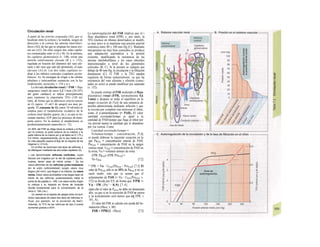 Circulación renal
A partir de las arterías arqueadas (Al), que se
localizan entre la corteza y la médula, surgen en
dirección a la corteza las arterias inter/obu/i-
llares (A2), de las que se originan los irasos α/e-
ren tes (A3). De ellos surgen dos redes capila-
res comunicadas entre sí (A y B). En la primera,
los capilares glomerulares (v. 148), existe una
presión relativamente elevada (B y v. 152),
regulada en función del diámetro del vaso afe-
rente y del vaso que sale del glomérulo, el uaso
eferente (A3,4). Las dos redes capilares ro-
dean a los túbulos corticales (capilares peritu-
bulares; A). Se encargan de irrigar a las células
tubulares e intercambian sustancias con la luz
(reabsorción, secreción; v. 154 y ss.).
La elevada circulación renal (= FSR = flujo
sanguíneo renal) de unos 1,2 1/min (20-25%
del gasto cardíaco) se utiliza principalmente
para mantener la importante TFG (120 mi/
min), de forma que la diferencia arteria-venosa
de O2 (aprox. 15 ml/1 de sangre) sea muy pe-
queña. El consumo de O2 (unos 18 ml/min) se
emplea para el metabolismo oxidativo de la
corteza renal (ácidos grasos, etc.), ya que se ne-
cesitan muchos ATP para los procesos de trans-
porte activo. En la médula el metabolismo es
predominantemente anaerobio (v. 72).
Un 90% del FSR se dirige hacia Ia corteza y el flujo
por Ia corteza, Ia parte externa de Ia médula y Ia
parte interna de Ia misma por g de tejido es 5,1,75 y
0,5 ml/min, respectivamente, por Io que hasta el va-
lor más pequeño supera el flujo de Ia mayoría de los
órganos (v. 213,A).
En el riñon se reconocen dos tipos de nefronas, y
se distinguen mediante las dos redes capilares (A).
» Las denominadas nefronas corticales, cuyos
túbulos son irrigados por Ia red de capilares peritu-
bulares, tienen asas de Henle cortas. * De los
vasos eferentes de las nefronas yuxta-medulares
(en Ia unión corticomedular) surgen vasos muy
largos (¡40 mm!), que llegan a Ia médula, los vasos
rectos. Estos vasos acompañan a las largas asas de
Henle de las nefronas yuxtamedulares hasta Ia
punta de las papilas (v. 148). Los vasos rectos irrigan
Ia médula y su trayecto en forma de horquilla
resulta fundamental para Ia concentración de Ia
orina (v. 164 y ss.).
Un cambio en el reparto de sangre entre los terri-
torios vasculares de estos dos tipos de nefronas in-
fluye, por ejemplo, en Ia excreción de NaCI.
Además, Ia TFG de las nefronas de tipo 2 puede
aumentar gracias a ADH.
La autorregulación del FSR implica que el i
flujo plasmático renal (FPR) y, por tanto, la
TFG (incluso en ríñones denervados) se modifi-
ca muy poco si se mantiene una presión arterial
sistémica entre 80 y 180 mm Hg (C). Mediante
mecanismos no muy bien conocidos se produce
una adaptación automática a la presión
existente, modificando la resistencia de las
arterias interlobulillares y los vasos aferentes
interconectados a nivel de los glomérulos
corticales (B, C). Si la presión se redujera por
debajo de 80 mm Hg, la circulación y la filtración
disminuyen (C). El FSR y la TFG pueden
regularse de forma independiente, ya que laj
resistencia del vaso aferente y eferente (conec-
tados en serie) se puede modificar por separado
(v. 152).
Se puede estimar el FSR midiendo el flujo
plasmático renal (FPR, normalmente 0,6
1/min) y después se mide el equilibrio en la
sangre (ecuación de Fick) de una sustancia de
prueba administrada mediante infusión y que
se excreta por completo tras atravesar el riñon,
como el p-aminohipurato (= PAH). El valor
cantidad excretada/tiempo es igual a la
cantidad de PAH/tiempo que llega al riñon por
vía arterial menos la cantidad que lo abandona
por vía venosa. Como
Cantidad excretada/tiempo =
Volumen/tiempo · concentración, |7.1]
se puede elaborar la siguiente ecuación en la
que PaPAH = concentración arterial de PAH;
PwPAH = concentración de PAH en la sangre
venosa renal; UPAH = concentración de PAH en
la orina; Vu = volumen minuto de orina
(FPR. PaPAH)- (FPR. PvrPAH) =
Vu·UPAH [7.2]
° FPR = Vu · UPAH/(PaPAH - PvrPAH) [7.3] El
valor de PvrPAH sólo es un 10% de PaPAH y no se
suele medir, sino que se asume que el
aclaramiento de PAH (= Vu · UPAH/PvrPAH; v.
152) se divide por 0,9, de forma que: FPR =
Vu · IW (Pa^ · 0,9) [7.4]
(para ello el valor de PaPAH no debe ser demasiado
alto, ya que si no la secreción de PAH se satura
y su aclaramiento será menor que etj FPR; v.
161, A).
El valor del FSR se calcula con ayuda del he-
matócrito (Htco; v. 88):
FSR = FPR/(1 - Htco) [7.5]
 