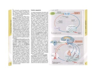 |0
ñas y de desecho y la piel mantiene la tem-
peratura. En la regulación del «medio inter-
no» influyen los ríñones (intercambio de
agua, osmolaridad, concentraciones iónicas,
valor del pH) y los pulmones (presiones de
O2 y CO2, valor del pH) (B).
La especialización de las células y los ór-
ganos en determinadas tareas exige una in-
tegración, de la que se encarga el transpor-
te a distancia mediante convección, la trans-
misión humoral de información (hormonas)
y la transmisión de señales eléctricas por el
sistema nervioso. Estos sistemas no sólo se
ocupan de la eliminación de desechos y el
aporte de sustancias y, por consiguiente, del
mantenimiento del «medio interno» en cir-
cunstancias extremas, sino que también se
ocupan de controlar y regular funciones que
mantienen la vida en un sentido más amplio,
el mantenimiento de la especie. El de-
sarrollo de los órganos sexuales y la apari-
ción de células encargadas de la reproducción
se incluyen entre ellas, junto con el control
de la erección, la eyaculación, la fecunda-
ción, la implantación, la adaptación de las
funciones del organismo materno y fetal du-
rante la gestación y la regulación del parto y
la lactancia.
El sistema nervioso central, que elabo-
ra las señales de los receptores periféricos de
las células y órganos sensitivos y activa
los efectores orgánicos transformados y diri-
gidos hacia el exterior -los músculos es-
queléticos- e influye sobre las glándulas
endocrinas, ocupa una posición central en el
comportamiento humano y animal. No se
ocupa «sólo» de la búsqueda de nutrición y
agua, de la protección del calor o el frío, la
elección de la pareja, la atención de los hijos
incluso mucho tiempo después del nacimien-
to, y la integración en el sistema social, sino
también del inicio, la expresión y la elabora-
ción de sentimientos, como la alegría, la pena,
la curiosidad, el deseo, la felicidad, la furia, la
cólera, el miedo y la envidia, de la creativi-
dad, el interés, la experiencia y la responsabi-
lidad. Esta perspectiva supera las fronteras
de la mera Fisiología, el ámbito de interés de
esta obra, pero las ciencias del comporta-
miento, la Sociología y la Psicología son dis-
ciplinas próximas a ella, aunque sólo excep-
cionalmente se hayan analizado las relacio-
nes entre las mismas.
Control y regulación
Los órganos especializados sólo pueden cocB
perar cuando se puedan armonizar sus neceB
sidades, es decir, tienen que ser controlable*
y regulables. Se denomina control a la posm
bilidad de modificar desde fuera un parámJ
tro, como la presión arterial, de forma calcí
lada (p. ej., modificando la frecuencia cardí;
ca) (v. 218). A pesar de los múltiples factore
que influyen sobre la presión arterial y la fre
cuencia cardíaca, este objetivo sólo se logr
cuando se puede registrar la presión arterié
conseguida realmente, compararla con el v¡
lor deseado y corregir con rapidez posible
desviaciones respecto del mismo. Si al levar
tarse con rapidez, la presión arterial descien
de, la frecuencia cardíaca aumentará, hast
conseguir normalizarla. El aumento de la fre
cuencia cardíaca se terminará cuando la pre
sión arterial recupere los valores normales
después volverá a descender. El control co
este tipo de retroalimentación negativ se
denomina regulación. En la regulaciói (Cl)
interviene el regulador, que intent conseguir
el valor deseado y que controla la funciones
necesarias para conseguir este ob jetivo. En
este circuito regulador participar sensores, que
determinan el valor real de parámetro y lo
comunican al regulador, qu( a su vez lo
compara con el valor deseado y si encarga de
regularlo, si el valor real está a terado. Esta
regulación se puede producir er un solo
órgano (autorregulación) o desde ur órgano
superior (sistema nervioso centra glándulas
endocrinas). Los componentes d un sistema
regulador, a diferencia de los de control,
pueden trabajar de una forma re lativamente
inexacta, sin que el valor desea do (al menos
como media) se modifique Además, pueden
responder frente a altera ciones inesperadas
[en el caso de la regula ción de la presión
arterial (C2), una pérdid de sangre].
Los reguladores que mantienen constanl
una magnitud se denominan reguladore
conservadores, sobre los que influyen lo
estímulos que causan la desviación del valo
real respecto del deseado (D2). En el organis
mo el valor deseado no suele ser una cons-l
tante inmodificable, sino que se puede «adapB
tar» cuando así lo exijan las circunstancias. SM
produce de este modo una modificación dem
 
