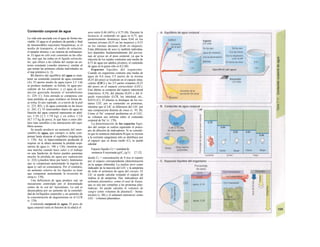 Contenido corporal de agua
La vida está asociada con el agua de forma ine-
vitable. El agua es el producto de partida y final
de innumerables reacciones bioquímicas, es el
medio de transporte, el medio de solución,
el tampón térmico y un sistema de enfriamien-
to. El agua no sólo está contenida en las célu-
las, sino que las rodea en el líquido extracelu-
lar, que ofrece a las células del cuerpo un en-
torno constante («medio interno»), similar al
que tenían las primeras células individuales en
el mar primitivo (v. 2).
El objetivo del equilibrio del agua es man-
tener un contenido corporal de agua constante
(A). El aporte medio de agua (unos 2,5 1/d)
se produce mediante: a) bebida, b) agua pro-
cedente de los alimentos, y c) agua de oxi-
dación generada durante el metabolismo
(v. 229, C). Esta entrada se compensa con
unas pérdidas de agua similares en forma de:
a) orina, b) aire espirado, c) a través de la piel
(v. 223, B3), y d) agua contenida en las heces
(v. 265, C). El intercambio diario de agua en
función del agua corporal representa en adul-
tos 1/30 (2,5 1/70 kg) y en niños 1/10
(0,7 1/7 kg de peso), lo que hace a estos últi-
mos más sensibles a las alteraciones del equi-
librio acuoso.
Se puede producir un aumento del inter-
cambio de agua, que siempre se debe com-
pensar hasta alcanzar el equilibrio (regulación,
v. 170). Así, la hiperventilación producida al
respirar en la altura aumenta la pérdida respi-
ratoria de agua (v. 106 y 136), mientras que
una marcha cuando hace calor o el trabajo
en una fundición de hierro pueden aumentar
mucho la pérdida de agua por sudoración
(v. 222) (¡muchos litros por hora!), fenómenos
que se compensan aumentando la ingesta de
agua (y sal) en consonancia. Por el contrario,
un aumento relativo de los líquidos se tiene
que compensar aumentando la excreción de
orina (v. 170).
Una deficiencia de agua produce sed, un
mecanismo controlado por el denominado
centro de Ia sed de! hipotálamo. La sed se
desencadena por un aumento de la osmolali-
dad de los'líquidos corporales y un aumento de
la concentración de angiotensina en el LCR
(v. 170).
Contenido corporal de agua. El peso de
agua corporal varía en función de la edad y el
sexo entre 0,46 (46%) y 0,75 (B). Durante la
lactancia el contenido en agua es 0,75, que
posteriormente disminuye hasta 0,64 en los
varones jóvenes (0,53 en las mujeres) y 0,53
en los varones ancianos (0,46 en mujeres).
Estas diferencias de sexo (y también individua-
les) dependen fundamentalmente del porcen-
taje de grasa en el peso corporal, ya que la
mayoría de los tejidos contienen una media de
0,73 de agua (en adultos jóvenes), el contenido
de agua en la grasa sólo es 0,2 (B).
Espacios líquidos del organismo.
Cuando un organismo contiene una media de
agua de 0,6 unas 3/5 partes de la misma
(0,35 del peso) se localizan en el espacio intra-
celular (LIC) y las 2/5 partes restantes (0,25
del peso) en el espacio extracelular (LEC).
Este último se compone del espacio intersticial
(intersticio, 0,19), del plasma (0,45) y del lí-
quido transcelular (LCR, luz intestinal, etc.;
0,015) (C). El plasma se distingue de los res-
tantes LEC por su contenido en proteínas,
mientras que el LIC se diferencia del LEC por
una composición distinta de iones (v. 93, B).
Como el Na+
corporal predomina en el LEC,
su volumen nos informa sobre el contenido
corporal de Na+
(v. 170).
La determinación de los espacios líqui-
dos del cuerpo se realiza siguiendo el princi-
pio de dilución de indicadores. Si se conside-
ra que la sustancia indicadora S (que se inyecta
a la corriente sanguínea) sólo se distribuye por
el espacio que se desea medir (C), se puede
calcular:
Espacio líquido (1) = cantidad de
sustancia S inyectada (g)/Cs (g/1) [7.12]
donde C5 = concentración de S tras el reparto
por el espacio correspondiente (determinación
en la sangre obtenida). La inulina sirve como
indicador de la mayoría del LEC y la antipirina
de todo el uolumen de agua del cuerpo. El
LlC se puede calcular restando el espacio de
inulina al de antipirina. Hay indicadores del
uolumen plasmático, como el azul de Euans,
que se une por completo a las proteínas plas-
máticas. Se puede calcular el volumen de
sangre como volumen de plasma/(l - hema-
tócrito) (v. 88) y el uolumen intersticio/ como
LEC - volumen plasmático.
 