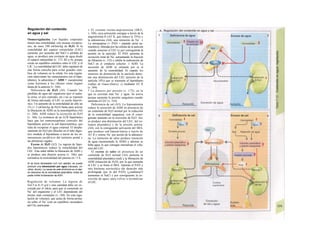 Regulación del contenido
en agua y sal
Osmorregulación. Los líquidos corporales
tienen una osmolalidad, con escasas excepcio-
nes, de unos 290 mOsm/kg de H2O. Si la
osmolalidad del espacio extracelular (LEC)
aumenta, por aumento del NaCl o pérdida de
agua, se produce una corriente de agua desde
el espacio intracelular (v. 173, B2 y 6), porque
existe un equilibrio osmótico entre el LEC y el
LJC. La osmolalidad del LEC debe regularse de
una forma estrecha para evitar grandes cam-
bios de volumen en la célula. En esta regula-
ción intervienen los osmosensores (en el hipo-
tálamo), la adiuretina (= ADH = vasopresina)
como hormona y los ríñones como órgano
diana de la anterior (v. 166).
Deficiencia de H2O (Al). Cuando las
pérdidas de agua del organismo (por el sudor,
la orina, el aire espirado, etc.) no se reponen
de forma adecuada, el LEC se uuehe hipertó-
nico. Un aumento de la osmolalidad de sólo un
1% (= 3 mOsmAg de H2O) basta para activar
la liberación de ADH en la neurohipófisis (Al)
(v. 280). ADH reduce la excreción de H2O
(v. 166). La existencia de un LCR hipertónico
hace que los osmorrecepfores centrales del
hipotálamo activen la sed hiperosmótica, que
trata de recuperar el agua corporal. El despla-
zamiento de H2O por dilución en el tubo diges-
tivo modula el hipotálamo a través de los os-
mosensores periféricos del territorio portal y
las aferencias vagales.
Exceso de H2O (A2). La ingesta de líqui-
dos hipotónicos reduce la osmolalidad del
LEC. Esta señal inhibe la liberación de ADH y
se produce una diuresis acuosa (v. 166), que
normaliza la osmolalidad del plasma en <1 h.
Si se toma demasiada H2O con rapidez, se puede
producir una intoxicación por agua (náuseas, vó-
mitos, shock). La causa de este síndrome es el rápi-
do descenso de Ia osmolalidad plasmática, antes de
poder inhibir Ia liberación de ADH.
Regulación de volumen. La ingesta de
NaCI es 8-15 g/d y esta cantidad debe ser ex-
cretada per el riñon, para que el contenido en
Na+
del organismo y el LEC dependiente del
mismo sean constantes (v. 168). En esta regu-
lación de volumen, que actúa de forma prima-
ria sobre el Na+
(con un equilibrio secundario
del Ch), participan:
» El sistema renina-angiotensina (SRA;
v. 184), cuya activación consigue a través de la
angiotensina II (AT II, que reduce la TFG) y
la aldosterona (A4), una retención de Na+
. »
La aíriopeptina (= PAN = péptido atrial na-
triurético), liberada por las células de la aurícula
cuando aumenta el LEC (y por consiguiente la
presión en la aurícula). El PAN aumenta la
excreción renal de Na+
aumentando la fracción
de filtración (v. 152) e inhibe la reabsorción de
NaCl en el conducto colector. » ADH. La
secreción de ADH se estimula por a) el
aumento de Ia osmolalidad; b) cuando los
sensores de distensión de la aurícula detec-
tan una disminución del LEC (presión de la
aurícula 10%) que se transmite al hipotálamo
(reflejo de Gauer-Henry); c) mediante AT II
(v. 184).
* La diuresis por presión (v. 172), en la
que se excretan más Na+
y agua. Se activa
porque aumenta la presión sanguínea cuando
aumenta el LEC (v. 216).
Deficiencia de sal (A3). La hiponatremia
reduce la secreción de ADH en presencia de
un contenido de H2O normal por la reducción
de la osmolalidad sanguínea, con el consi-
guiente aumento en la excreción de H2O. Así,
se produce una disminución del LEC, del vo-
lumen plasmático y de la presión arteria/
(A4), con la consiguiente activación del SRA,
que produce sed hipouo/émica a través de
AT II y retiene Na+
por acción de la aldostero-
na. La retención de sales produce retención
de agua (aumentando la ADH) y además se
bebe agua, lo que consigue normalizar el volu-
men del LEC.
El exceso de sales en presencia de un
contenido de H2O normal (A4) aumenta la
osmolalidad plasmática (sed) y la liberación de
ADH (retención de H2O), por lo que aumenta
el LEC y se frena el SRA. Además el PAN y
otra hormona natriurética (de duración más
prolongada que la del PAN) (¿ouabaína?)
aumentan el NaCl y por consiguiente la ex-
creción de agua, para volver a normalizar
el LEC.
 