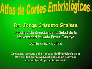 Dr. Jorge Crisosto Greisse
  Facultad de Ciencias de la Salud de la
   Universidad Privada Franz Tamayo
             Santa Cruz - Bolivia

Imágenes tomadas del Sitio Web de Embriología de la
  Universidad de Nueva Gales del Sur en Australia
          confeccionado por el Dr. Mark Hill

                                                      1
 