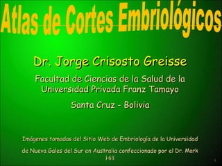 Dr. Jorge Crisosto Greisse
    Facultad de Ciencias de la Salud de la
     Universidad Privada Franz Tamayo
                 Santa Cruz - Bolivia


Imágenes tomadas del Sitio Web de Embriología de la Universidad

de Nueva Gales del Sur en Australia confeccionado por el Dr. Mark
                              Hill                                  1
 