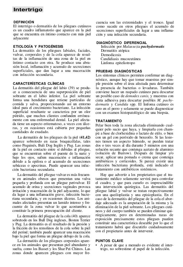 La máscara para los cabellos para el crecimiento y el refuerzo sobre la cerveza