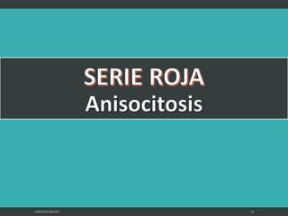 LATRODECTUS MACTANS 18
 