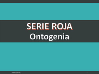 LATRODECTUS MACTANS 2
 