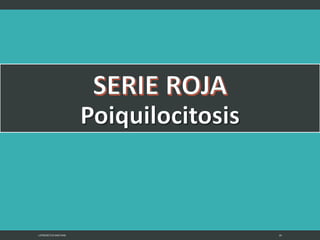 LATRODECTUS MACTANS 20
 