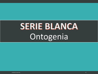 Ontogenia
LATRODECTUS MACTANS 38
 