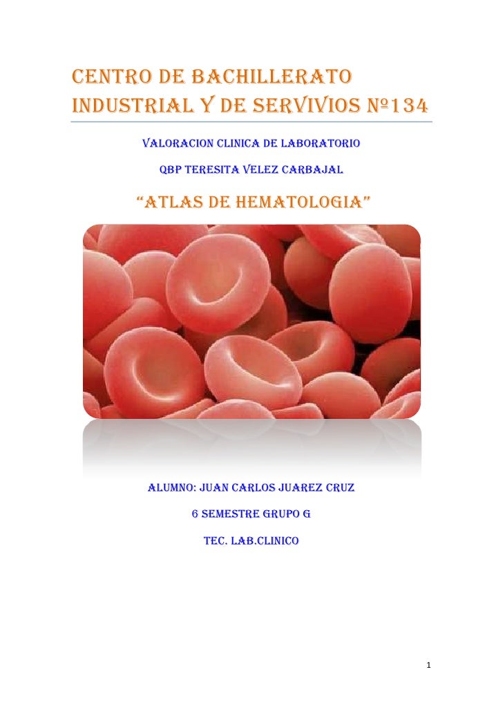 Atlas de hematologia clinica pdf: software free download 7 0