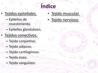 Índice 