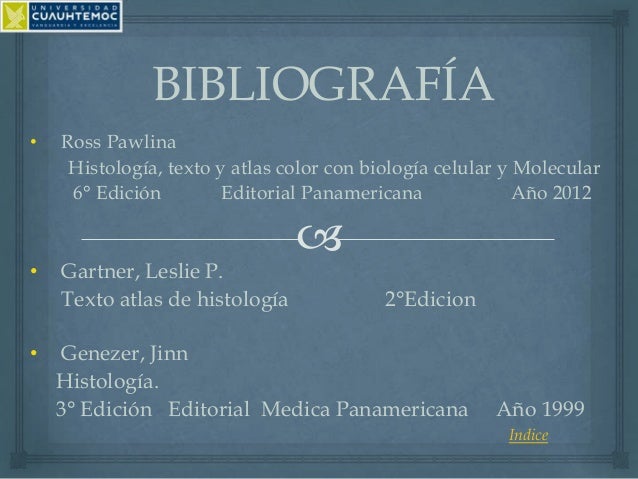 Texto Atlas De Histologia Gartner 3 Edicion Pdf Descargar Aplicacion Texto Atlas De Histologia Gartner 3 Edicion Pdf Descargar Aplicacion