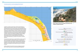 UNIDADES GEOAMBIENTAIS
28 29
ATLAS ICAPUÍ
Praias e lagoas costeiras são unidades geoambientais que
compõem o ambiente litorâneo
e lagunar) e marinho-costeiro (praia e delta de maré) demarca o
limite continental da planície costeira. Esse contato foi delimitado
morfologicamente por uma linha de falésia morta (paleofalésia, falésia
fóssil, os morros de Icapuí) com aproximadamente 30 km de extensão,
escarpas com altitude média de 15 metros e sentido sudeste-noroeste.
A paleofalésia evidencia o limite do nível do mar durante a penúltima
transgressão de onde, com o início do evento regressivo subsequente,
é iniciada a composição das formas litorâneas atualmente dispostas
na planície costeira. Como evidência morfológica restaram antigos
níveis de praia dispostos nas proximidades da paleofalésia,
denominados de terraço marinho pleistocênico (associados aos
setores onde predominam os carnaubais, solo arenoso e excelente
aquífero).
O estuário Barra Grande nasce no sopé da falésia, de onde, associado
aos terraços marinhos, recebe água doce para a composição dos
níveis de salinidade e nutrientes que acabaram por gerar deposição
de argilas ricas em matéria orgânica e microorganismos (depósitos
paludais). O estuário Barra Grande comporta-se como importante
indicador das variações do nível relativo do mar para a costa leste
cearense.
A última sequência de esporões de areia nas margens do estuário
Barra Grande (a que forma o canal denominado de Manguinho)
 