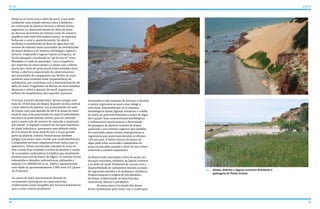 30 31
ATLAS ICAPUÍ
Associados a este conjunto de terraços e durante
o evento regressivo no qual o mar atinge a
cota atual, desenvolveram-se os sistemas
morfológicos dunar, lagunar, estuarino e o delta
de maré, no qual está instalado o banco de algas
dos Cajuais. Suas características morfológicas
e sedimentares posicionaram a diversidade
de paisagens da planície costeira de Icapuí
associada a um contexto regional, que também
foi controlado pelos eventos transgressivos e
regressivos que ocorreram durante os últimos
125 mil anos. O limite externo do banco de
algas pode estar associado a paleolinhas de
praia constituídas quando o nível do mar estava
associado a eventos repressivos.
As dunas estão associadas à faixa de praia, aos
terraços marinhos, tabuleiro, às lagoas costeiras
e ao delta de maré. Evoluíram de acordo com a
disponibilidade de sedimentos durante as fases
de regressão marinha e às mudanças climáticas.
Proporcionaram a origem de três gerações
de dunas, evidenciando os tipos barcana,
transversal, dômica e parabólica.
	 As areias para a formação das dunas
foram mobilizadas pelo vento com a construção
Dunas, falésias e lagoas costeiras dominam a
paisagem de Ponta Grossa
limita-se ao norte com o delta de maré, o que pode
evidenciar uma relação estreita entre a dinâmica
de construção da planície durante o último evento
regressivo e o desenvolvimento do delta de maré:
no decurso de eventos de mínima vazão do estuário
(aquífero com nível hidrostático baixo), os esporões
fecharam o canal e, posteriormente, foi aberto
mediante a contribuição do fluxo de água doce em
eventos de máxima vazão associados às contribuições
do lençol freático e do sistema morfológico lagunar/
lacustre, originando a laguna Cajuais (Carapicu), de
forma alongada e localizada no “pé do morro” entre
Mutamba e a sede do município. Caso a sequência
dos esporões de areia (desde o contato com a falésia
morta até a faixa de praia atual) tenha evoluído desta
forma, a abertura sequenciada do canal estuarino,
por intermédio do rompimento das flechas de areia,
produziu uma excelente fonte (espasmódica) de
sedimentos, que contribuiu com o desenvolvimento do
delta de maré. Fragmentos de flechas de areia isolados,
dispersos e sobre a planície de maré, registraram
indícios de rompimentos dos esporões arenosos.
O terraço marinho pleistocênico (praias antigas com
mais de 10 mil anos de idade), disposto na área central
e mais interna da planície, nas proximidades da sede
de Icapuí, com uma altitude de até 8 m acima do nível
atual do mar, está posicionado no sopé da paleofalésia.
Encontra-se praticamente extinto, pois foi utilizado
para a construção de viveiros de camarão e ampliação
das salinas. O segundo conjunto de terraços marinhos,
de idade holocênica, apresentou uma altitude média
de 4 m acima do nível atual do mar e ocupa grande
parte da planície costeira. Nestas praias também
antigas (um pouco mais recente que as pleistocênicas)
e originando terrenos (depósitos) mais baixos que os
anteriores, foram encontradas camadas de areia de
fina a muito fina contendo conchas de bivalves e seixos
de concreções carbonáticas (rodolitos que atualmente
também ocorrem no Banco de Algas). As conchas foram
submetidas a datações radiométricas, utilizando o
método C14 (MEIRELES et al., 2005) e apresentaram
uma idade de aproximadamente 2.000 anos A.P. (Antes
do Presente).
Os canais de maré apresentaram direção de
escoamento convergente ao canal estuarino,
evidenciando suave mergulho dos terraços holocênicos
para o setor central da planície.
 