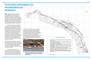 38 39
ATLAS ICAPUÍ
OS FLUXOS COSTEIROS E AS
INTERFERÊNCIAS
HUMANAS
	planície de Icapuí foi construída à
medida que os fluxos de matéria e
energia proporcionavam a produção de
sedimentos e nutrientes, a sua distribuição e
deposição ao longo das unidades ambientais e
ecossistemas associados, ao que se aliaram às
flutuações do nível relativo do mar, mudanças
climáticas e ação das energias modeladoras
atuais (ondas, marés, ventos, gravidade, pluvial
e hidrodinâmica superficial e subterrânea).
	 Os produzidos pela deriva litorânea
dos sedimentos, o proveniente das fases de
vazão da maré no estuário Barra Grande e da
água subterrânea originada pelos aquíferos
denominados de Barreiras, terraços marinhos
e dunas, direcionam-se para o delta de maré,
interagindo com o ecossistema localmente
representado pelo banco de algas. Da mesma
forma, os fluxos produzidos interagem
diretamente com os demais, principalmente
na disponibilidade de sedimentos e nutrientes
produzidos e em parte disponibilizados para
os demais ecossistemas (estuário e praias
adjacentes) por meio da dinâmica das marés,
das ondas e dos ventos.
As interferências no ecossistema manguezal
promovidas pelo desmatamento e o bloqueio
de canais internos pelas estruturas de produção
de sal e de camarão em cativeiro alteraram
a dinâmica de produção e distribuição dos
sedimentos e nutrientes e as relações de trocas
com o banco de algas.
	 Foi mediante o aporte de areia
proveniente da deriva litorânea de sudeste
para noroeste e a mudança na fisiografia da
linha de costa diante da desembocadura do
estuário Barra Grande, que ocorreu acúmulo
diferenciado de sedimentos na área do delta
de maré. Esses sedimentos movimentaram-se
na forma de grandes bancos de areia ricos em
biodetritos. Essa dinâmica também interferiu
diretamente no comportamento morfológico das
praias localizadas ao noroeste da desembocadura
do estuário. Verificou-se que também está
relacionada com eventos de soterramento de áreas
com a concentração de algas, regulando, desta
forma, a distribuição geográfica das algas sobre o
delta de maré.
	
A
Principais componentes costeiros originados
pela ação dos fluxos litorâneos e usos humanos
diferenciados
 
