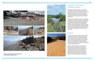 LAGOAS COSTEIRAS E
INTERDUNARES
Estão dispostas ao longo da planície e normalmente
se encontram associadas à presença de dunas (lagos
interdunares) e terraços marinhos holocênicos formando
as lagoas costeiras (nos sulcos e cavas dos cordões
litorâneos). Apresentam-se em dimensões variadas e
são sazonais. Nos períodos de seca ficam praticamente
desprovidas da lâmina de água, pelo rebaixamento do
lençol freático.
As lagoas são responsáveis pela dinâmica de regulação
da água doce para o aquífero, atuando como importantes
sistemas de recarga do lençol freático. As dispostas nas
proximidades da Estação Ambiental Mangue Pequeno
certamente estão relacionadas com a água salgada
proveniente das oscilações de maré. As lagoas mais para
o interior da planície, quando relacionadas às dunas são
excentes reservas de água potável e resguardam elevada
biodiversidade. As lagoas sobre os terraços marinhos
tendem a ser salobras devido possíveis vínculos com a
cunha salina
DUNAS
As gerações de dunas apresentam-se como indicadoras
das variações climáticas e do nível do mar dado que
a última glaciação relaciona-se a períodos de elevada
aridez. Durante este evento, regiões ao norte e sul da
Zona de Convergência Intertropical, foram submetidas
a processos de desertificação. A planície costeira de
Icapuí, com seus compoentes de relevo relacionados
com mudanças climáticas e do nível do mar, está inserida
nestas condições geoambientais.
A dinâmica ambiental promoveu a origem de três
gerações de dunas, evidenciando os tipos barcana,
transversal, dômica e parabólica. As areias para a
formação das dunas foram sendo remobilizadas dos
primeiros terraço marinho, no início do período
regressivo que originou os “morros” de Icapuí. Estão
distribuídas preferencialmente na porção leste da
planície. As dunas existentes desde a localidade de
Barreira da Sereia até Ponta Grossa e Retiro Grande,A ocupação desordenada da orla marítima não
resiste à força das grandes marés
42 43
ATLAS ICAPUÍ
 