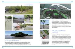 46 47
ATLAS ICAPUÍ
Setores de ecossistema
manguezal em processo
de recuperação através
do plantio das mudas
produzidas na EAMP
TERRAÇOS MARINHOS
São praias antigas, originadas durante os últimos eventos regressivos do mar. Ocorrem
ao longo de toda a planície costeira de icapuí. Foi largamente ocupado pelas vilas de
pescadores e vias de acesso. Está associado às praias atuais, ao delta de maré, manguezal,
campo de dunas e sistemas fluviomarinho, lagunar e lacustre.
Os de idade holocênica apresentaram uma altitude média de 4
metros acima do nível atual do mar.
A presença de fragmentos de rochas, normalmente com
nódulos de óxido de ferro, foi associada à erosão das falésias. Os
biodetritos (rodolitos, conchas de moluscos, bivalves e espículas)
foram originados na faixa intermaré e plataforma continental
interna e transportados pelas ondas e as correntes marinhas
até a faixa de praia. Os sedimentos com granulação argila,
predominantemente no segundo central, foi gerado nos canais de
maré e no estuário.
SISTEMA ESTUARINO-
LAGUNAR
Um conjunto de morfologias originado através das oscilações
das marés, proveniência de sedimentos das paleofalésias,
hidrodinâmica relacionada com a aportação de água doce do
aquífero (nascentes e olhos dágua dos “morros” entre Ibicuitaba
e a Serra da Mutamba) e os eventos de mudanças do nível do mar.
O limite interior foi delimitado pela entrada da maré dinâmica e o
início de um sistema lagunar típico (Carapicu), em contato com a
paleofalésia e os sedimentos de praias antigas (terraço marinho).
O Sistema lagunar está relacionado com o canal estuarino da
Barra Grande (estabelece a conexão entre os manguezais e
a laguna dos Cajuais ou Carapicu, hoje realizado através da
“levada”).
 