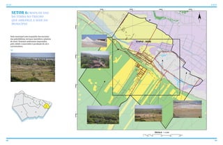 68 69
ATLAS ICAPUÍ
SETOR 6: MAPA DE USO
DA TERRA NO TRECHO
QUE ABRANGE A SEDE DO
MUNICÍPIO
Sede municipal com ocupações das encostas
das paleofalésias, terraços marinhos e planície
de maré. Sistemas ambientais impactados
pela cidade e associados à produção de sal e
carcinicultura.
 
