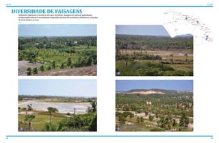 88 89
ATLAS ICAPUÍ
Ambientes lagunares e lacustres, terraços marinhos, manguezal e apicum, paleodunas
evidenciando relevos e ecossistemas originados através das mudanças climáticas e variações
do nível relativo do mar.
DIVERSIDADE DE PAISAGENS
3
42
1
Peroba
Picos Barreira da Sereia
Barreira de Baixo
Barreira de Cima
Serra do Mar
Mutamba
Serra da Mutamba
Barrinha
Requenguela
Cajuais
Serra dos Cajuais
Morro Alto
Vila Jardim Paraíso
Berimbau
Olho D’Água
Quitérias
Tremembé
Melancias de Cima
Melancias de Baixo
Peixe Gordo
Manibu
Praia do Ceará
Barrinha de Manibu
Córrego do Sal
Ind. Arisa
Gravier
Morro Pintado
Guajiru
Ibicuitaba
Faz. Belém
Faz. Belém
Bichucha
Vila Ipaumirim - INCRA
Retiro Grande
3
4
2
1
 