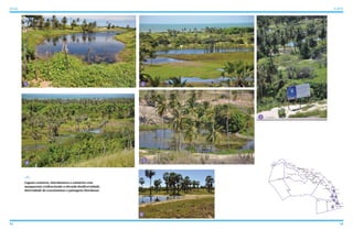 92 93
ATLAS ICAPUÍ
Lagoas costeiras, interdunares e estuários com
manguezais evidenciando a elevada biodiversidade,
diversidade de ecossistemas e paisagens litorâneas
Redonda
Peroba
Picos Barreira da Sereia
Barreira de Baixo
Barreira de Cima
Serra do Mar
Mutamba
Serra da Mutamba
Barrinha
Requenguela
Cajuais
Serra dos Cajuais
Morro Alto
Vila Jardim Paraíso
Berimbau
Olho D’Água
Quitérias
Tremembé
Melancias de Cima
Melancias de Baixo
Peixe Gordo
Manibu
Praia do Ceará
Barrinha de Manibu
Córrego do Sal
Ind. Arisa
Gravier
Morro Pintado
Guajiru
Ibicuitaba
Faz. Belém
Faz. Belém
Bichucha
Vila Ipaumirim - INCRA
Retiro Grande
5
3
4
2
1
6
5
4
21
3
6
 