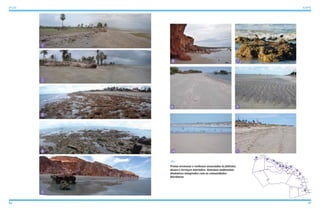 96 97
ATLAS ICAPUÍ
Praias arenosas e rochosas associadas às falésias,
dunas e terraços marinhos. Sistemas ambientais
dinâmicos integrados com as comunidades
litorâneas
Ponta Grossa
Redonda
Peroba
Picos Barreira da Sereia
Barreira de Baixo
Barreira de Cima
Serra do Mar
Mutamba
Serra da Mutamba
Barrinha
Requenguela
Cajuais
Serra dos Cajuais
Morro Alto
Vila Jardim Paraíso
Berimbau
Olho D’Água
Quitérias
Tremembé
Melancias de Cima
Melancias de Baixo
Peixe Gordo
Manibu
Praia do Ceará
Barrinha de Manibu
Córrego do Sal
Ind. Arisa
Gravier
Morro Pintado
Guajiru
Ibicuitaba
Faz. Belém
Faz. Belém
Bichucha
Vila Ipaumirim - INCRA
Retiro Grande
5
3
4
2 8
9
10
11
1
6
7
3
4
2
8 9
10 11
1
6 7
5
 