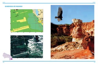 136 137
ATLAS ICAPUÍ
BARRINHA DE MANIBU
1
7
8
2
3
4 5
6
12
11 13
15
14
109
 