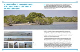 A IMPORTÂNCIA DO MANGUEZAL
E DO BANCO DE ALGAS PARA A
BIODIVERSIDADE
138 139
ATLAS ICAPUÍ
Banco
de Algas
As ações de recuperação da cobertura vegetal do manguezal estão contribuindo para
elevar a produção de nutrientes e das áreas utilizadas pelas aves migratórias. O bosque
de manguezal e apicum da Barra Grande proporcionam o amortecimento das cheias e
ajudam a controlar inundações na cidade e vilas de pescadores. O canal principal e as
gamboas (pequenos canais de maré), com as variações das marés, direcionam as sementes e
propágulos para os setores de expansão do manguezal. Funções ambientais que promovem
o bem-estar social das comunidades pesqueiras.
O delta de maré, diante do estuário Barra Grande foi compartimentado em dois setores,
aqui definido como emerso e submerso. Foram associados com flechas de areias (spits)
desde o contato com a linha de paleofalésia e a uma planície de maré integrada com um
sistema lagunar. As flechas de areia evoluíram para ilhas-barreiras, as quais foram rompidas
durante os eventos de máxima vazão do sistema fluviolagunar. A deriva litorânea de sudeste
para noroeste e os terraços marinhos holocênicos e pleistocênicos foram associados aos
eventos regressivos do nível do mar. Esta dinâmica foi acompanhada com a deposição de
sedimentos pela presença bosques de manguezal, algas e possíveis afloramentos rochosos
(evidenciados mais à oeste) diante da desembocadura do canal estuarino. Este conjunto
morfológico foi representado nos mapas geológico e geomorfológico, perfis topográficos,
datações radiométricas, sondagens realizadas no delta de maré, laguna dos Cajuais e
terraços marinhos (MEIRELES, 2001).
Oecossistema manguezal e o banco de algas da planície costeira de Icapuí representam
sistemas ambientais de primordial importância para a diversidade biológica e
produtividade pesquisa deste setor leste do litoral cearense. Estão relacionados com as
atividades tradicionais de pesca, mariscagem, cultivos de algas e promovem as condições
ecológicas para a produção lagosteira.
 