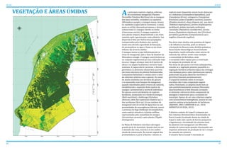 s principais espécies vegetais arbóreas
do ecossistema manguezal (Floresta
Perenifólia Paludosa Marítima) são os mangues
dos tipos vermelho, verdadeiro ou sapateiro
(Rhizophora mangle), o mangue manso, branco
ou rajadinho (Laguncularia racemosa), o canoé,
preto ou síriba (Avicennia germinans e Avicennia
schaueriana) e o mangue ratinho ou botão
(Conocarpus erecta). O mangue sapateiro é
uma planta vivípara, desprendendo o seu fruto
somente após a germinação como plântula. Sua
dispersão é feita por hidrocoria (propágulos
transportados pela dinâmica das marés),
tendo uma elevada capacidade de flutuação,
de permanência na água e fixam-se em áreas
debaixo das árvores adultas.
O mangue manso ocupa indistintamente as
áreas do manguezal, após a faixa de domínio de
Rhizophora mangle. O mangue canoé destaca-se
no conjunto vegetacional por sua coloração mais
escura e chega a alcançar mais de 8 metros de
altura e se adapta localmente a terrenos mais
arenosos. A Laguncularia racemosa, a Avicennia
germinans e a Avicennia schaueriana ocorrem
em áreas interiores da planície fluviomarinha.
Comumente delimitam o contato entre o setor
de cobertura arbórea com o apicum. Os canais
de marés existentes nos terrenos de apicum
e os associados com bosques de manguezal,
quando interditados pelos viveiros de camarão,
inviabilizaram a expansão desta espécie de
mangue e promoveram a morte de indivíduos.
No apicum ocorre predomínio de espécies
herbáceas, destacando-se o bredo do mangue
(Batis maritima), a beldroega (Portulaca
oleracea), além das cyperaceas (Cyperus sp.) e
das xyridaceas (Xyris sp.). Já nos contatos do
manguezal com os cursos de água doce ou nas
proximidades de ressurgências hídricas, ocorre
a presença do bugi (Dalbergia hecastophylum),
como espécie arbustiva, e plantas anfíbias,
representadas pela samambaia do mangue
(Acrostichum aureum) e pela tabuba (Thypha
domingensis).
As Matas de Tabuleiro Litorâneo abrangem
grande parte do município. Quanto mais ao sul
e afastado das vilas, encontra-se em melhor
estado de conservação. No extrato vegetal têm
predominância o porte arbustivo e dentre as
espécies mais frequentes nesses locais destacam-
se a imburana (Cammiphora leptophleos), jucá
(Caesalpinea férrea), catingueira (Caesalpinea
bracteosa), podoi (Copaifera cearensis), juazeiro
(Ziziphus joazeiro), ubaia (Eugenia sp), pau darco
(Tabebuia impetiginosa), pereiro (Aspidosperma
pyrifolium), pinhão (jatropha molíssima),
catanduba (Peptadenia moniliformes), jurema
branca (Pepitadenia stipulacea), davi (Strichnos
parvifolia), guabiraba (Compomaneasia sp) e
angélica (Guetarda angélica).
Nas áreas mais úmidas com presença de lagoas
e de influência marinha, pode-se destacar
a formação da floresta mista dicótilo-palmácea.
Essas feições fitoecológicas foram bastante
degradadas, sendo utilizadas como setores de
extensão das salinas, tendo como exemplo
a comunidade de Berimbau, onde
o carnaubal cedeu espaço para a construção
de tanques de produção de sal.
Nas áreas de pós-praia e terrenos subsequentes,
estende-se a vegetação pioneira psamófila e a
vegetação herbácea-arbustiva típica das restingas
com destaque para a salsa (Ipomoea pes-caprae),
pinheirinho da praia (Ramirea maritima) e
pirrichiu (Sesuvium portulacastrum).
O coqueiral existente sobre os terraços
marinhos não é uma composição vegetal
nativa. Entretanto, se adaptou muito bem ao
solo predominantemente arenoso (Neossolos
Quartzoarênicos) e bem drenado, tornando-
se elemento referencial deste componente da
paisagem e importante para a economia do
município. Apesar de ser uma cobertura vegetal
com características homogêneas, associa-se com
espécies nativas principalmente de herbáceas.
(AQUASIS, 2003; CARBOGIM et ali., 2010;
ARIMATEA DA SILVA, 2012)
A planície costeira de Icapuí é composta por
dois sistemas fluviomarinhos denominados de
Barra Grande (localizado diante da cidade de
Icapuí e onde está o porto de barcos pesqueiros
e lagosteiros) e Arrombado (no extremo leste
da planície) com manguezais em diferentes
estados de conservação quando relacionados aos
impactos ambientais da produção de sal e criação
de camarão em cativeiro.
O estuário Barra Grande é vinculado ao
16 17
ATLAS ICAPUÍ
VEGETAÇÃO E ÁREAS ÚMIDAS A
 
