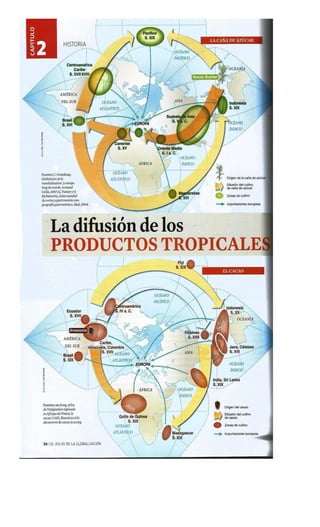 Atlas de la globalizacion