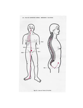 Atlasdemeridianos 100411095421-phpapp02 (1)