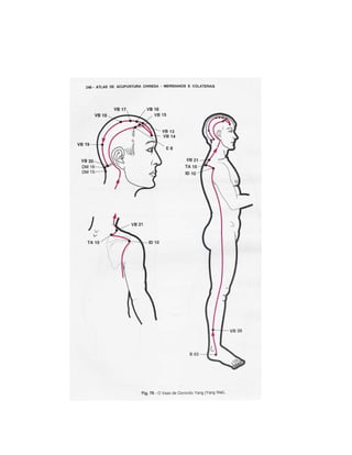 Atlasdemeridianos 100411095421-phpapp02 (1)
