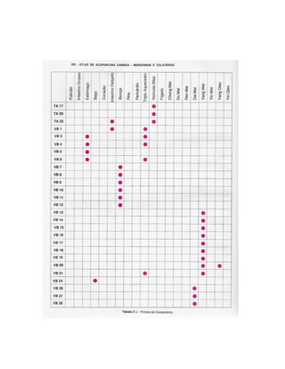 Atlasdemeridianos 100411095421-phpapp02 (1)