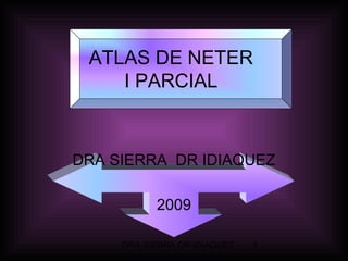 ATLAS DE NETER
I PARCIAL

DRA SIERRA DR IDIAQUEZ
2009
DRA SIERRA DR IDIAQUEZ

1

 
