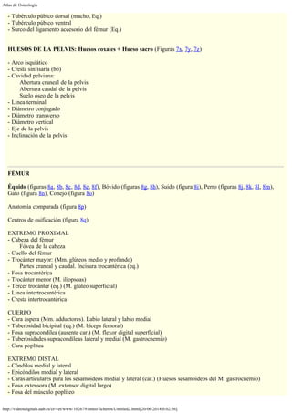 Atlas de Osteología
http://videosdigitals.uab.es/cr-vet/www/102679/osteo/ficheros/Untitled2.html[20/06/2014 0:02:56]
- Tubérculo púbico dorsal (macho, Eq.)
- Tubérculo púbico ventral
- Surco del ligamento accesorio del fémur (Eq.)
 
 
HUESOS DE LA PELVIS: Huesos coxales + Hueso sacro (Figuras 7x, 7y, 7z)
 
- Arco isquiático
- Cresta sinfisaria (bo)
- Cavidad pelviana:
        Abertura craneal de la pelvis
        Abertura caudal de la pelvis
        Suelo óseo de la pelvis
- Línea terminal
- Diámetro conjugado
- Diámetro transverso
- Diámetro vertical
- Eje de la pelvis
- Inclinación de la pelvis
 
 
FÉMUR
 
Équido (figuras 8a, 8b, 8c, 8d, 8e, 8f), Bóvido (figuras 8g, 8h), Suido (figura 8i), Perro (figuras 8j, 8k, 8l, 8m),
Gato (figura 8n), Conejo (figura 8o)
 
Anatomía comparada (figura 8p)
 
Centros de osificación (figura 8q)
 
EXTREMO PROXIMAL
- Cabeza del fémur
        Fóvea de la cabeza
- Cuello del fémur
- Trocánter mayor: (Mm. glúteos medio y profundo)
        Partes craneal y caudal. Incisura trocantérica (eq.)
- Fosa trocantérica
- Trocánter menor (M. iliopsoas)
- Tercer trocánter (eq.) (M. glúteo superficial)
- Línea intertrocantérica
- Cresta intertrocantérica
 
CUERPO
- Cara áspera (Mm. adductores). Labio lateral y labio medial
- Tuberosidad bicipital (eq.) (M. bíceps femoral)
- Fosa supracondílea (ausente car.) (M. flexor digital superficial)
- Tuberosidades supracondíleas lateral y medial (M. gastrocnemio)
- Cara poplítea
 
EXTREMO DISTAL
- Cóndilos medial y lateral
- Epicóndilos medial y lateral
- Caras articulares para los sesamoideos medial y lateral (car.) (Huesos sesamoideos del M. gastrocnemio)
- Fosa extensora (M. extensor digital largo)
- Fosa del músculo poplíteo
 