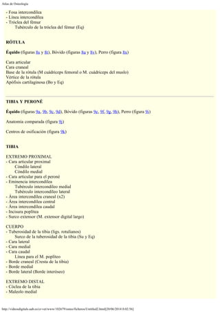 Atlas de Osteología
http://videosdigitals.uab.es/cr-vet/www/102679/osteo/ficheros/Untitled2.html[20/06/2014 0:02:56]
- Fosa intercondílea
- Línea intercondílea
- Tróclea del fémur
        Tubérculo de la tróclea del fémur (Eq)
 
 
RÓTULA
 
Équido (figuras 8s y 8t), Bóvido (figuras 8u y 8v), Perro (figura 8x)
 
Cara articular
Cara craneal
Base de la rótula (M cuádriceps femoral o M. cuádriceps del muslo)
Vértice de la rótula
Apófisis cartilaginosa (Bo y Eq)
 
TIBIA Y PERONÉ
 
Équido (figuras 9a, 9b, 9c, 9d), Bóvido (figuras 9e, 9f, 9g, 9h), Perro (figura 9i)
 
Anatomía comparada (figura 9j)
 
Centros de osificación (figura 9k)
 
 
TIBIA
 
EXTREMO PROXIMAL
- Cara articular proximal
        Cóndilo lateral
        Cóndilo medial
- Cara articular para el peroné
- Eminencia intercondílea
        Tubérculo intercondíleo medial
        Tubérculo intercondíleo lateral
- Área intercondílea craneal (x2)
- Área intercondílea central
- Área intercondílea caudal
- Incisura poplítea
- Surco extensor (M. extensor digital largo)
 
CUERPO
- Tuberosidad de la tibia (ligs. rotulianos)
        Surco de la tuberosidad de la tibia (Su y Eq)
- Cara lateral
- Cara medial
- Cara caudal
        Línea para el M. poplíteo
- Borde craneal (Cresta de la tibia)
- Borde medial
- Borde lateral (Borde interóseo)
 
EXTREMO DISTAL
- Cóclea de la tibia
- Maleolo medial
 