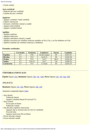Atlas de Osteología
http://videosdigitals.uab.es/cr-vet/www/102679/osteo/ficheros/Untitled2.html[20/06/2014 0:02:56]
- Cresta ventral
 
Arco vertebral:
- Pedículo del arco vertebral
- Lámina del arco vertebral
 
Agujeros:
- Agujero vertebral- Canal vertebral
- Espacio interarcual
- Incisuras vertebrales craneal y caudal
- Agujero intervertebral
- Agujero vertebral lateral
 
Apófisis:
- Apófisis espinosa
- Apófisis transversa
- Apófisis articulares craneal y caudal
- Apófisis accesoria (en vértebras torácicas caudales en Su y Car, y en las lumbares en Car)
- Apófisis mamilar (en vértebras torácicas y lumbares)
 
Fórmulas vertebrales:
  Cervicales Torácicas Lumbares Sacras Caudales
Équidos C7 T18 L6 (L5 asno) S5 Cd15-21
Bóvidos C7 T13 L6 (L7) S5 Cd18-20
Óvidos C7 T13 L6-7 S4-5 Cd16-24
Suidos C7 T14-15 L6-7 S4 Cd20-23
Carnívoros C7 T13 L7 (L6) S3 Cd15-23
 
VÉRTEBRAS CERVICALES
Équido (figura 12a), Rumiante (figuras 12b, 12c, 12d), Perro (figuras 12e, 12f, 12g, 12h)
 
ATLAS (C1)
 
Rumiante (figuras 12i, 12j), Perro (figuras 12k, 12l)
 
Anatomía comparada (figura 12m)
 
- Arco dorsal:
        Tubérculo dorsal
        Agujero vertebral lateral (N cervical C1)
- Arco ventral:
        Fóvea para el diente
        Tubérculo ventral
- Ala del atlas (Apófisis transversa):
        Agujero alar (o incisura alar en Car) (A vertebral)
        Fosa del atlas
        Agujero transverso (No en Rum)
- Fóvea articular craneal
- Fóvea articular caudal
 
 
 