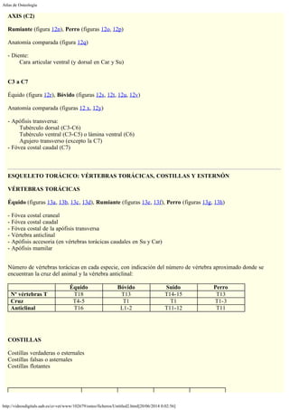Atlas de Osteología
http://videosdigitals.uab.es/cr-vet/www/102679/osteo/ficheros/Untitled2.html[20/06/2014 0:02:56]
AXIS (C2)
 
Rumiante (figura 12n), Perro (figuras 12o, 12p)
 
Anatomía comparada (figura 12q)
 
- Diente:
        Cara articular ventral (y dorsal en Car y Su)
 
 
C3 a C7
 
Équido (figura 12r), Bóvido (figuras 12s, 12t, 12u, 12v)
 
Anatomía comparada (figuras 12 x, 12y)
 
- Apófisis transversa:
        Tubérculo dorsal (C3-C6)
        Tubérculo ventral (C3-C5) o lámina ventral (C6)
        Agujero transverso (excepto la C7)
- Fóvea costal caudal (C7)
 
ESQUELETO TORÁCICO: VÉRTEBRAS TORÁCICAS, COSTILLAS Y ESTERNÓN
 
VÉRTEBRAS TORÁCICAS
 
Équido (figuras 13a, 13b, 13c, 13d), Rumiante (figuras 13e, 13f), Perro (figuras 13g, 13h)
 
- Fóvea costal craneal
- Fóvea costal caudal
- Fóvea costal de la apófisis transversa
- Vértebra anticlinal
- Apófisis accesoria (en vértebras torácicas caudales en Su y Car)
- Apófisis mamilar
 
Número de vértebras torácicas en cada especie, con indicación del número de vértebra aproximado donde se
encuentran la cruz del animal y la vértebra anticlinal:
 
  Équido Bóvido Suido Perro
Nº vértebras T T18 T13 T14-15 T13
Cruz T4-5 T1 T1 T1-3
Anticlinal T16 L1-2 T11-12 T11
 
 
COSTILLAS
 
Costillas verdaderas o esternales
Costillas falsas o asternales
Costillas flotantes
 
 